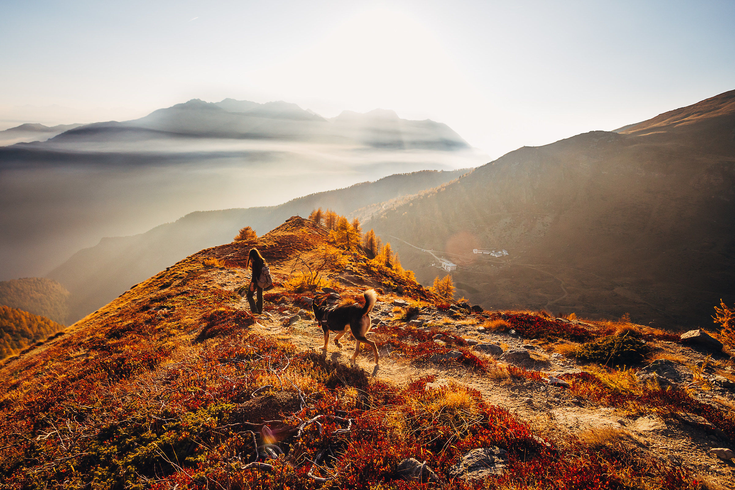 Autunno nel Parco dell'Orsiera-Rocciavrè