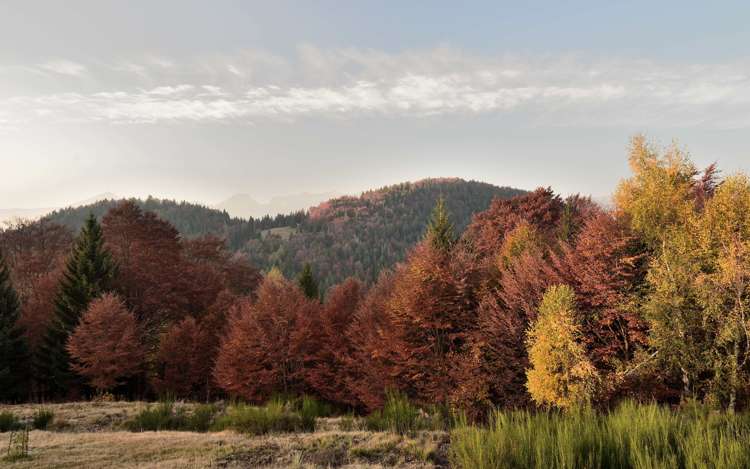 just above the Alpe Blitz