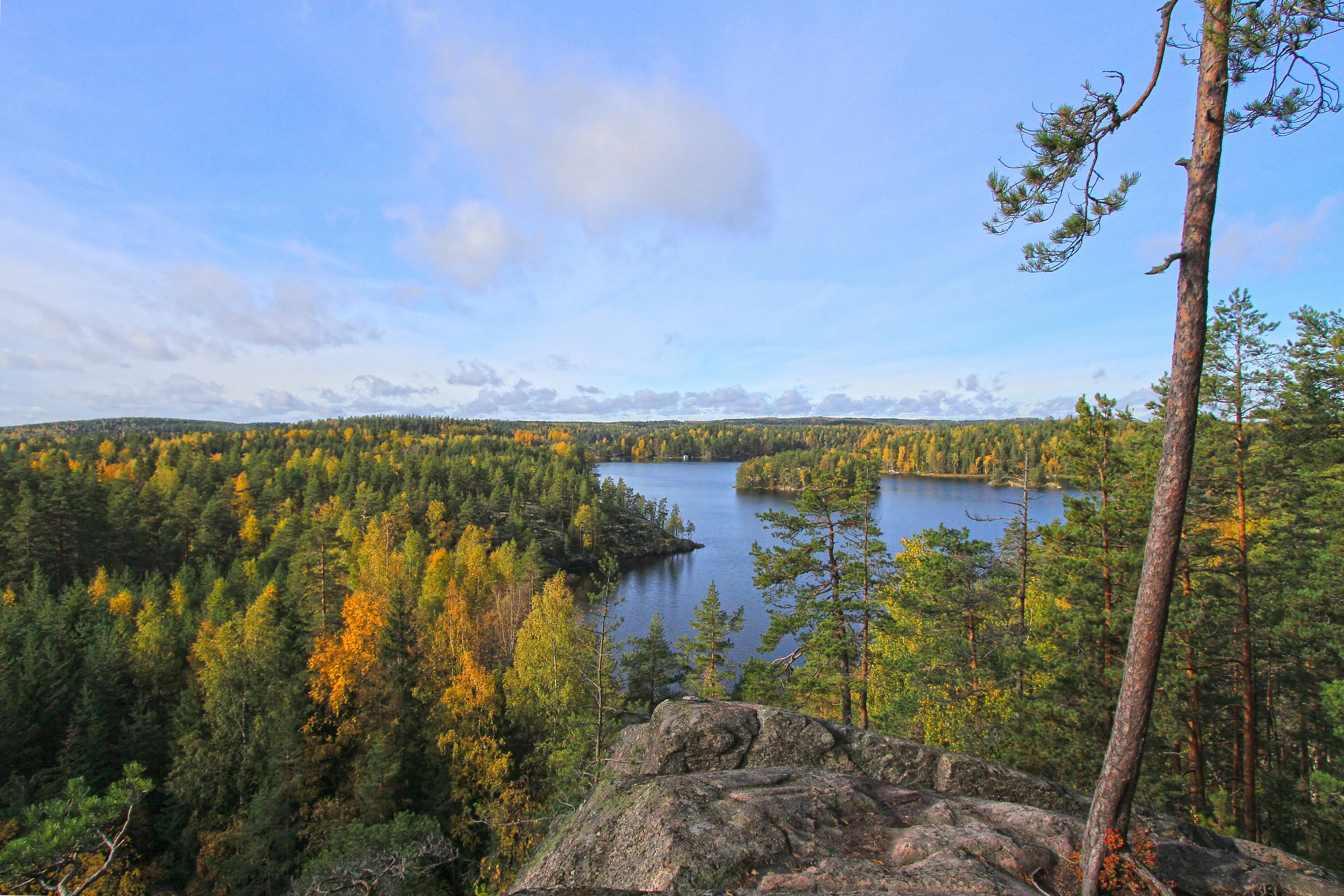 Finlandia - Parco Nazionale di Repovesi