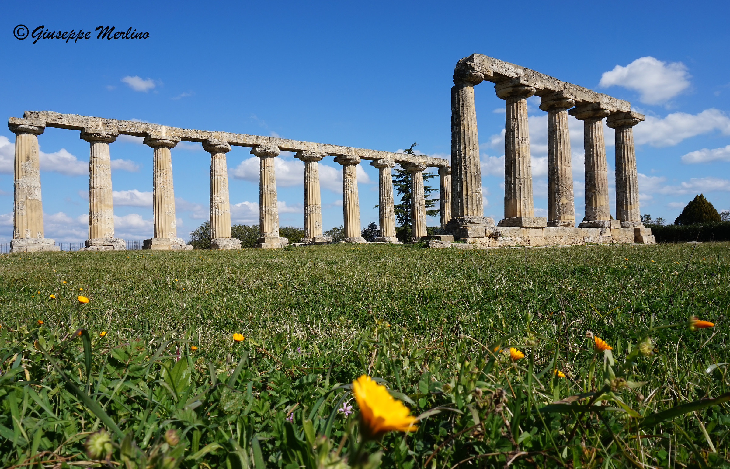 Hera Shrine (Palatine Tables)