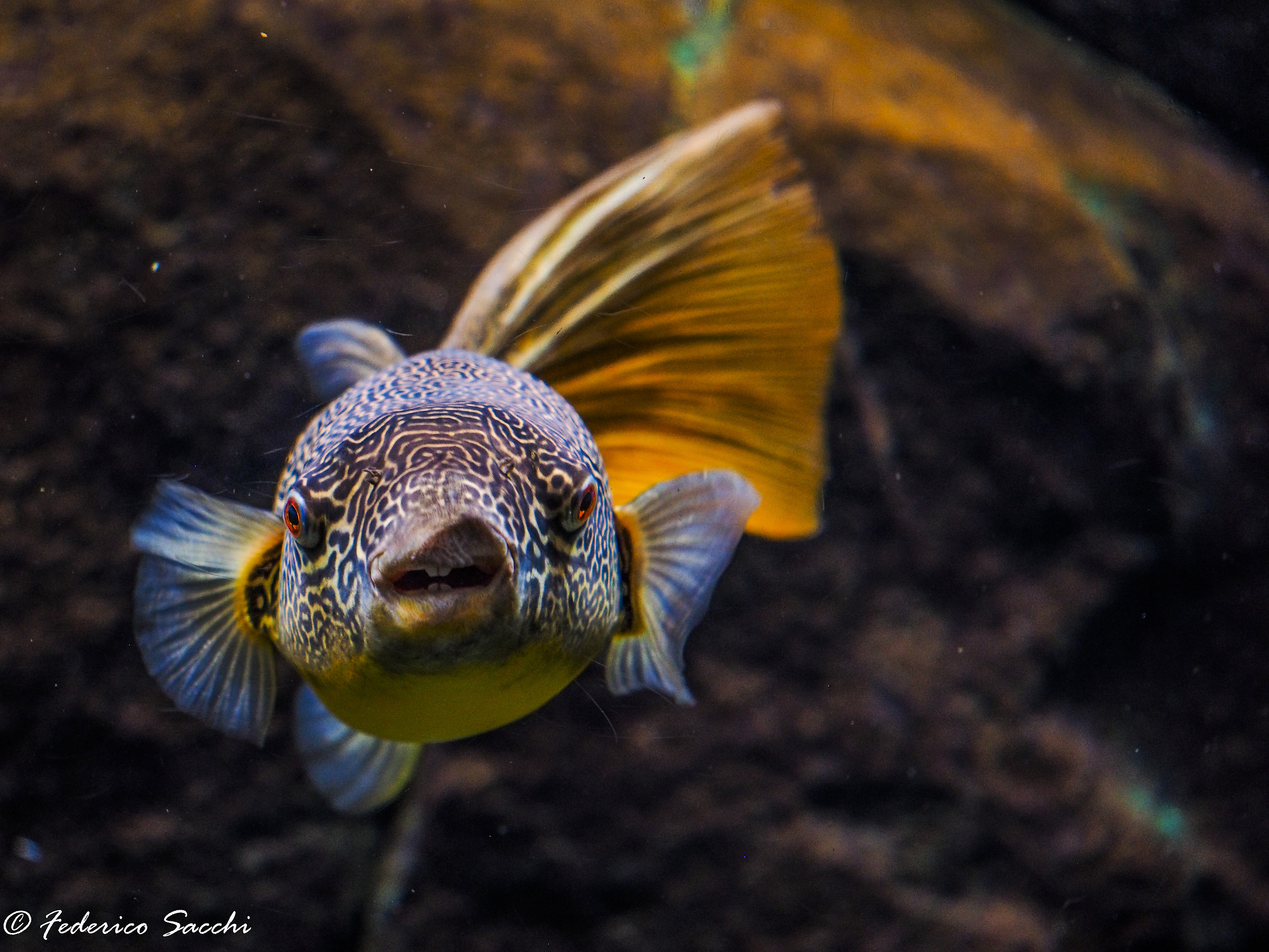 Smile at the photographer!