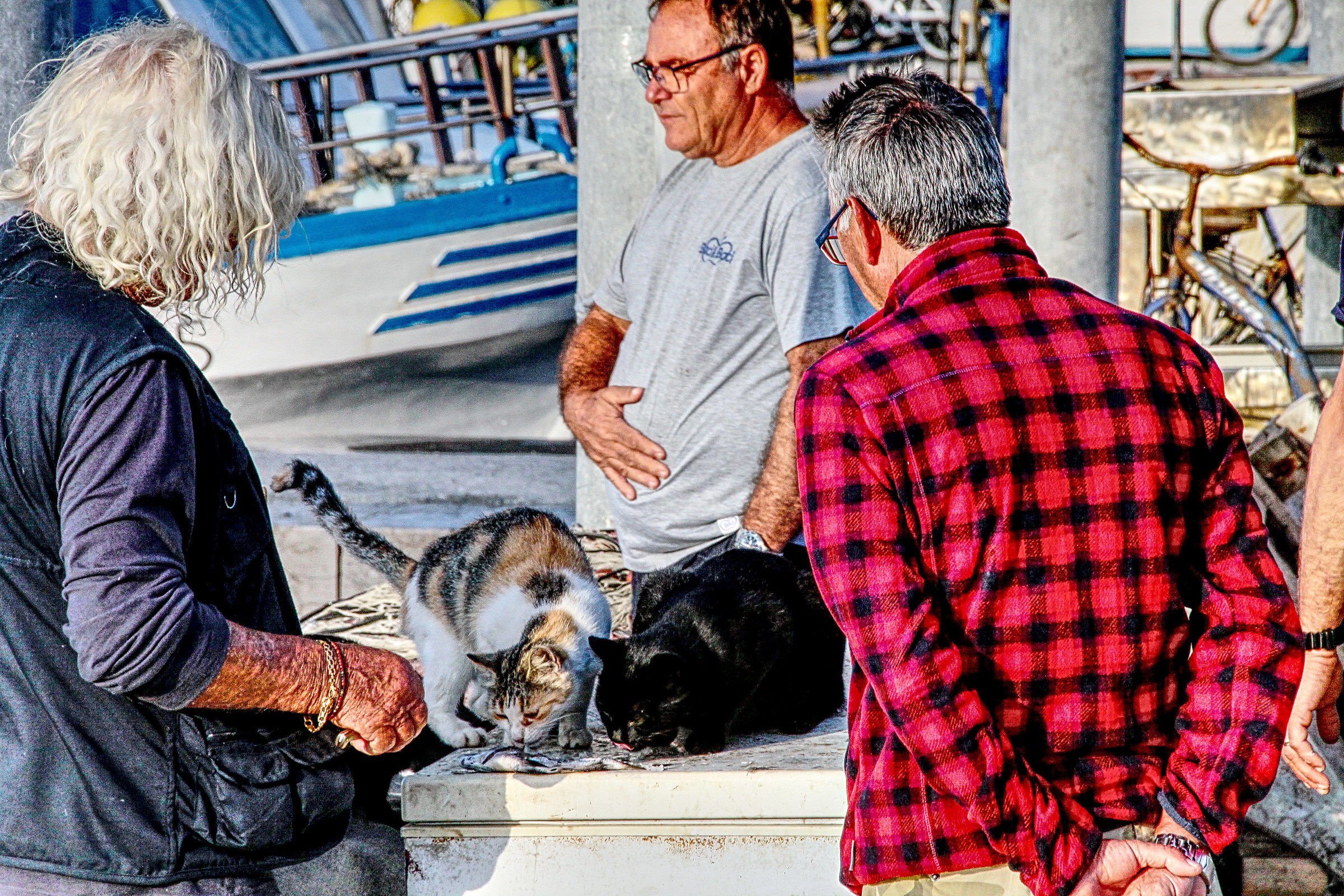 Momenti al porto di Favignana