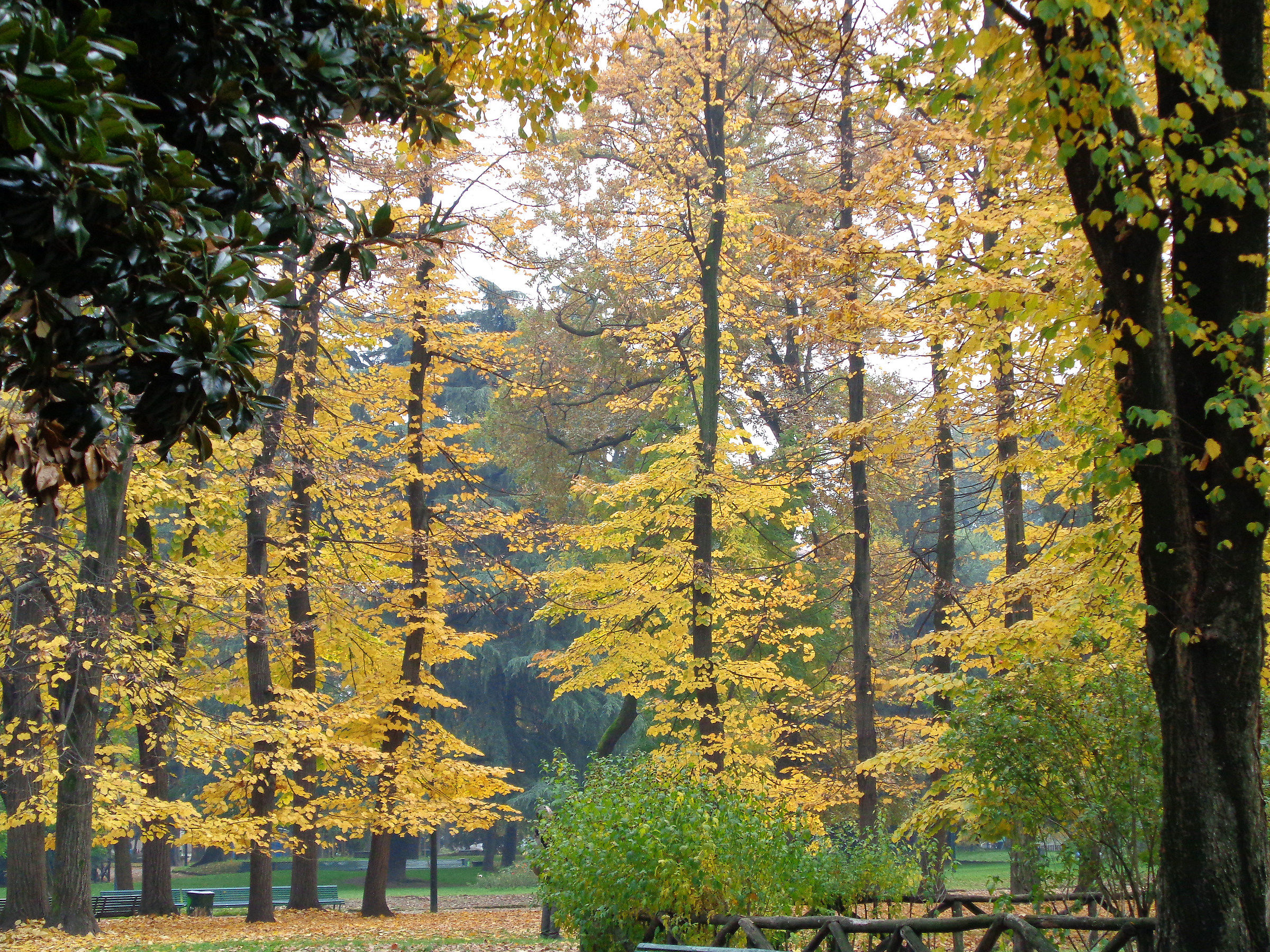 Gardens of Porta Venezia