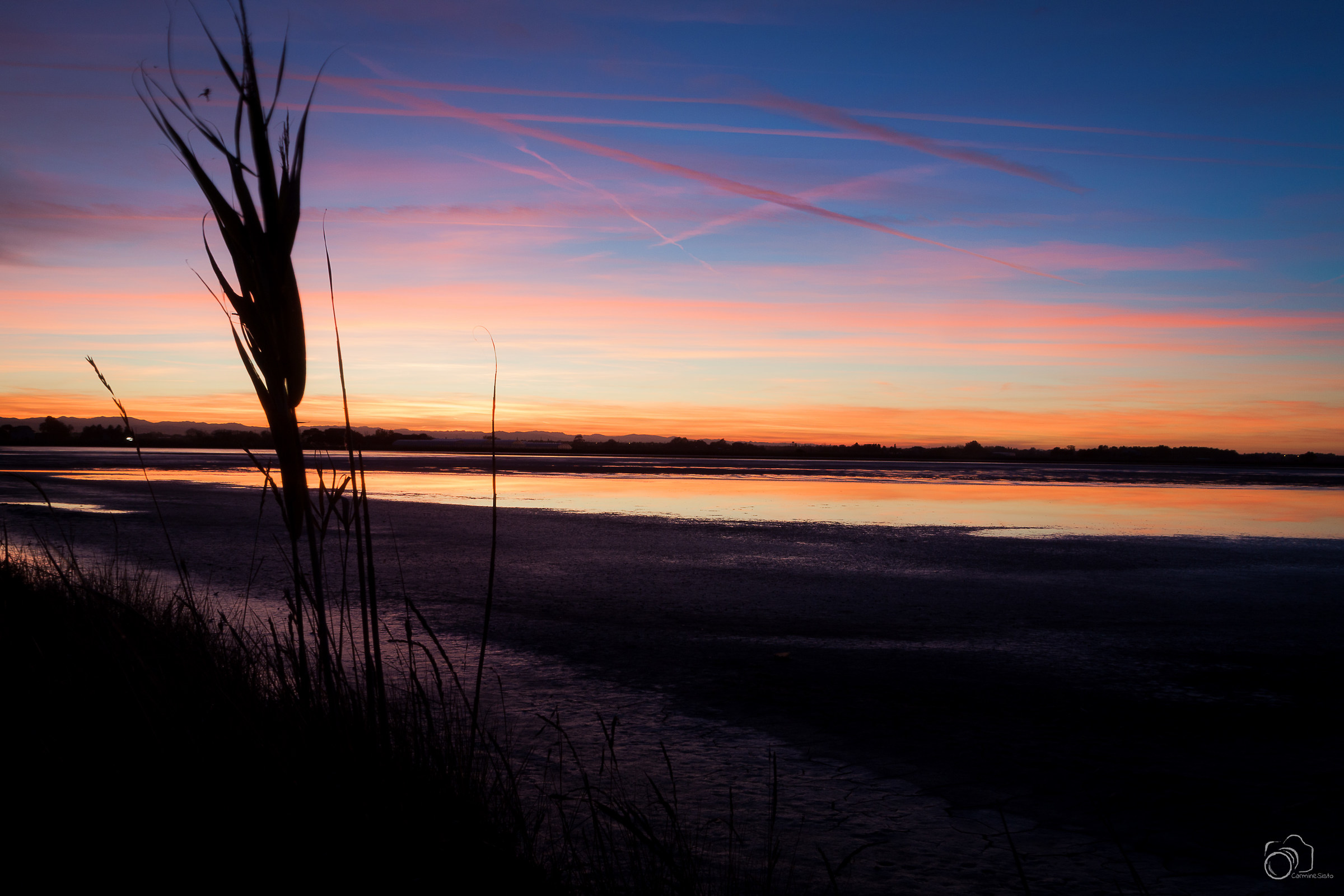 saline di Cervia