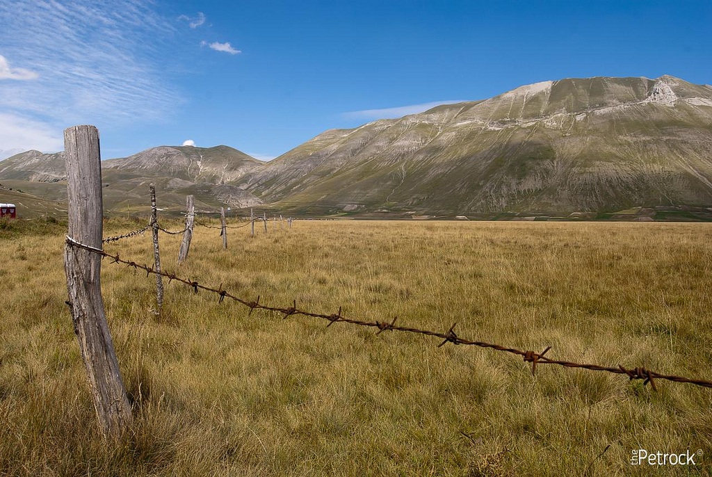 Piangrande barbed ...