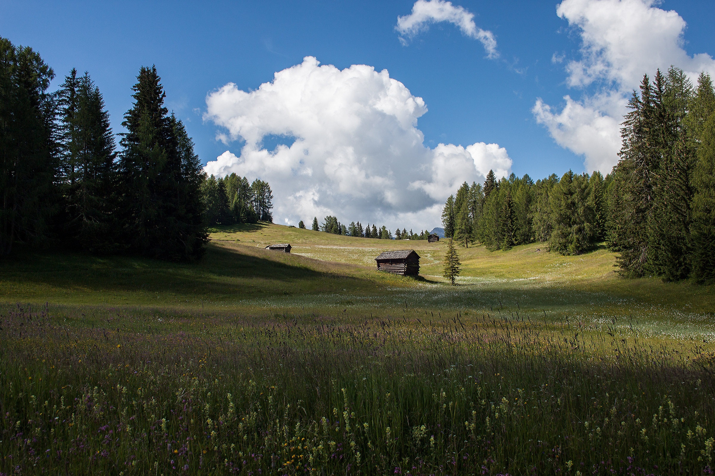 The Armentara lawns in Val Badia