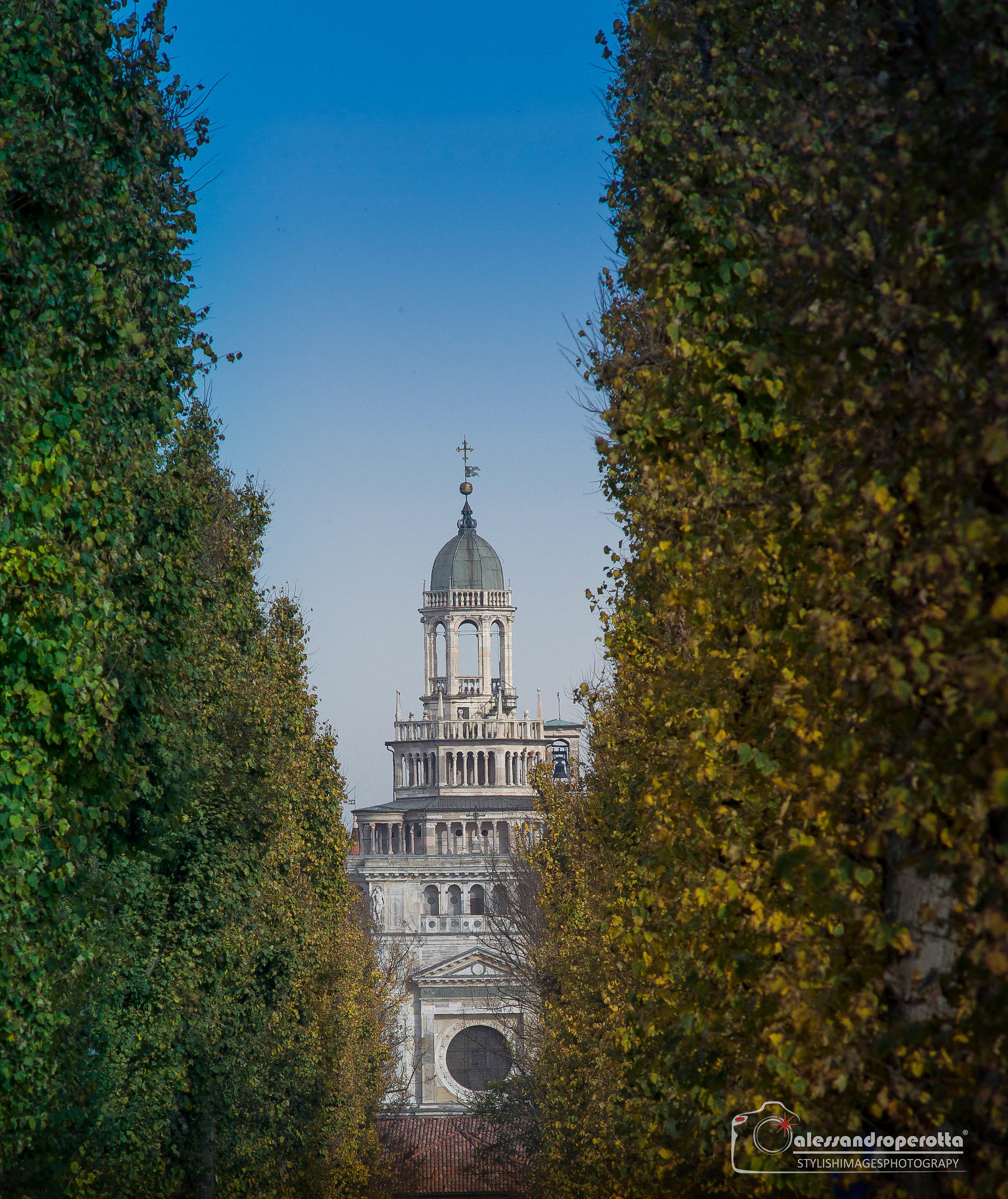 Certosa di Pavia 1