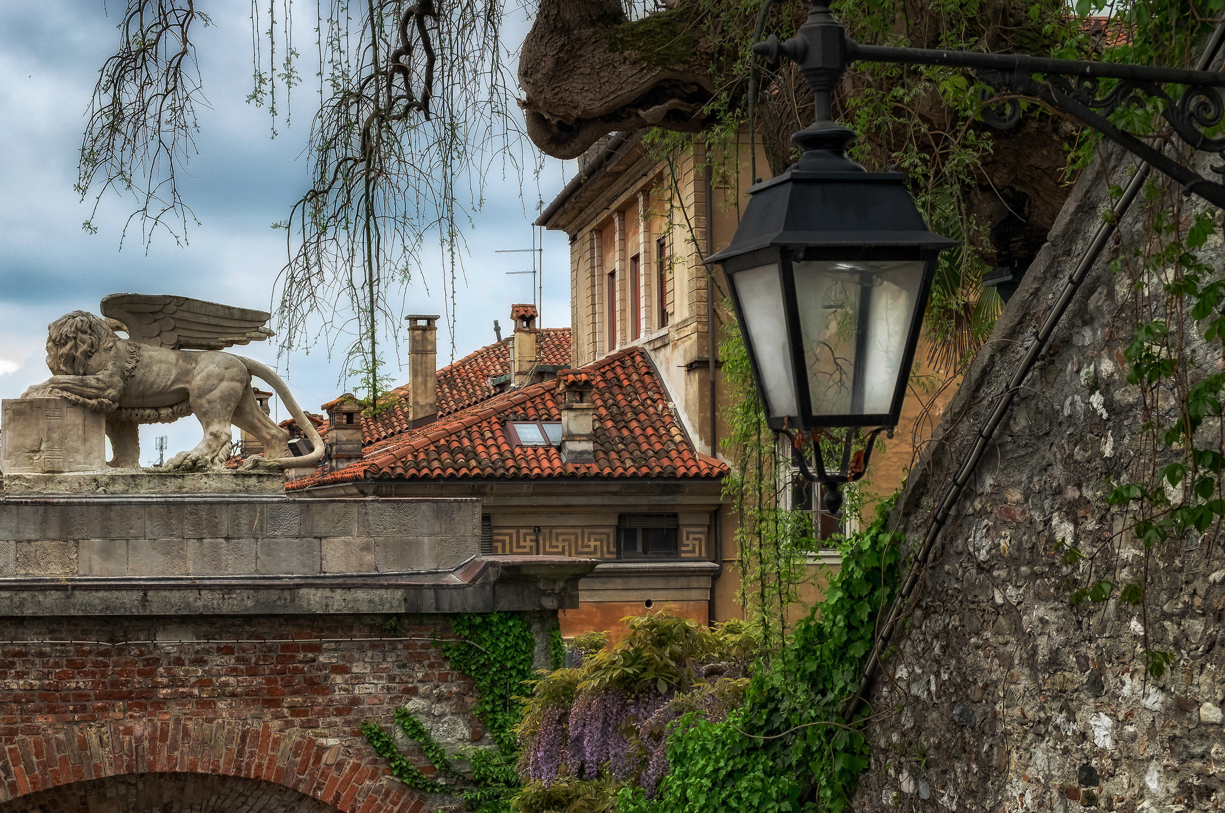 A little bit of my town