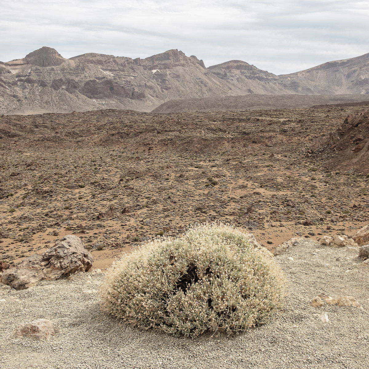 El Teide, Tenerife, Canarias
