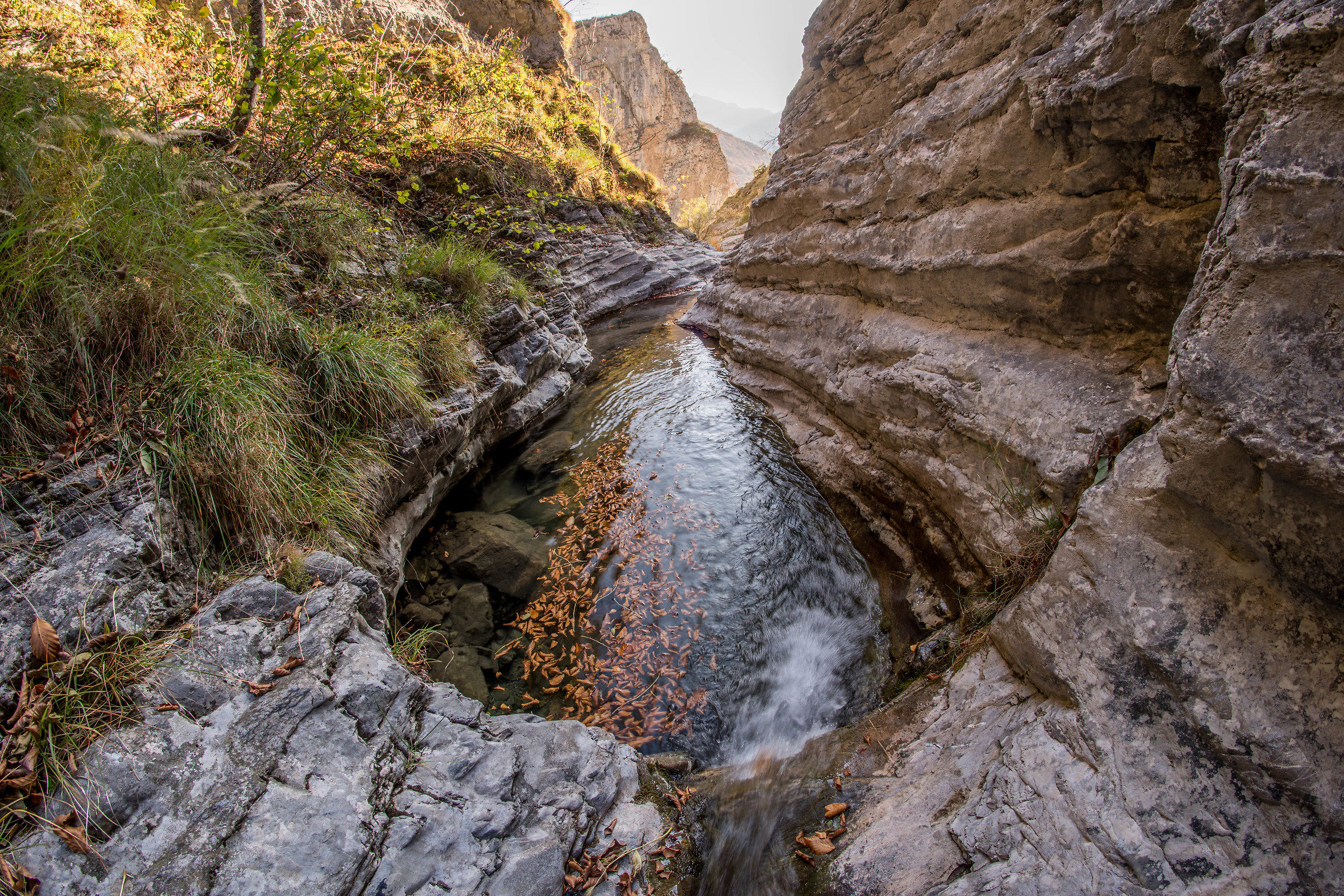Canyon autunnale