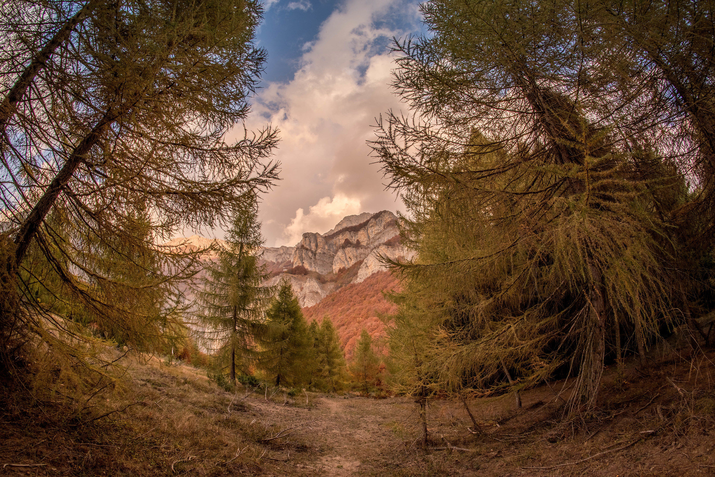 Lo sentiero per la montagna dei Larici