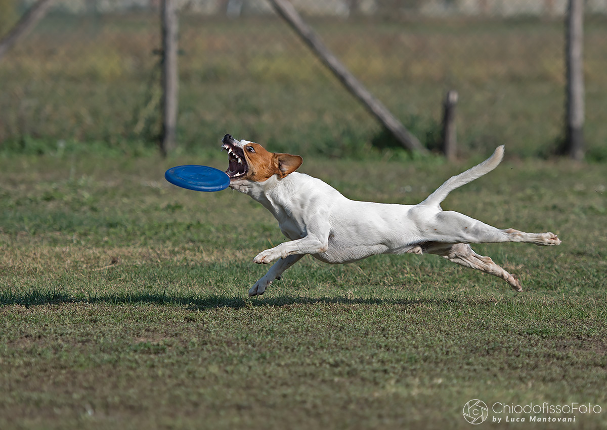 Zero, lethal weapon!