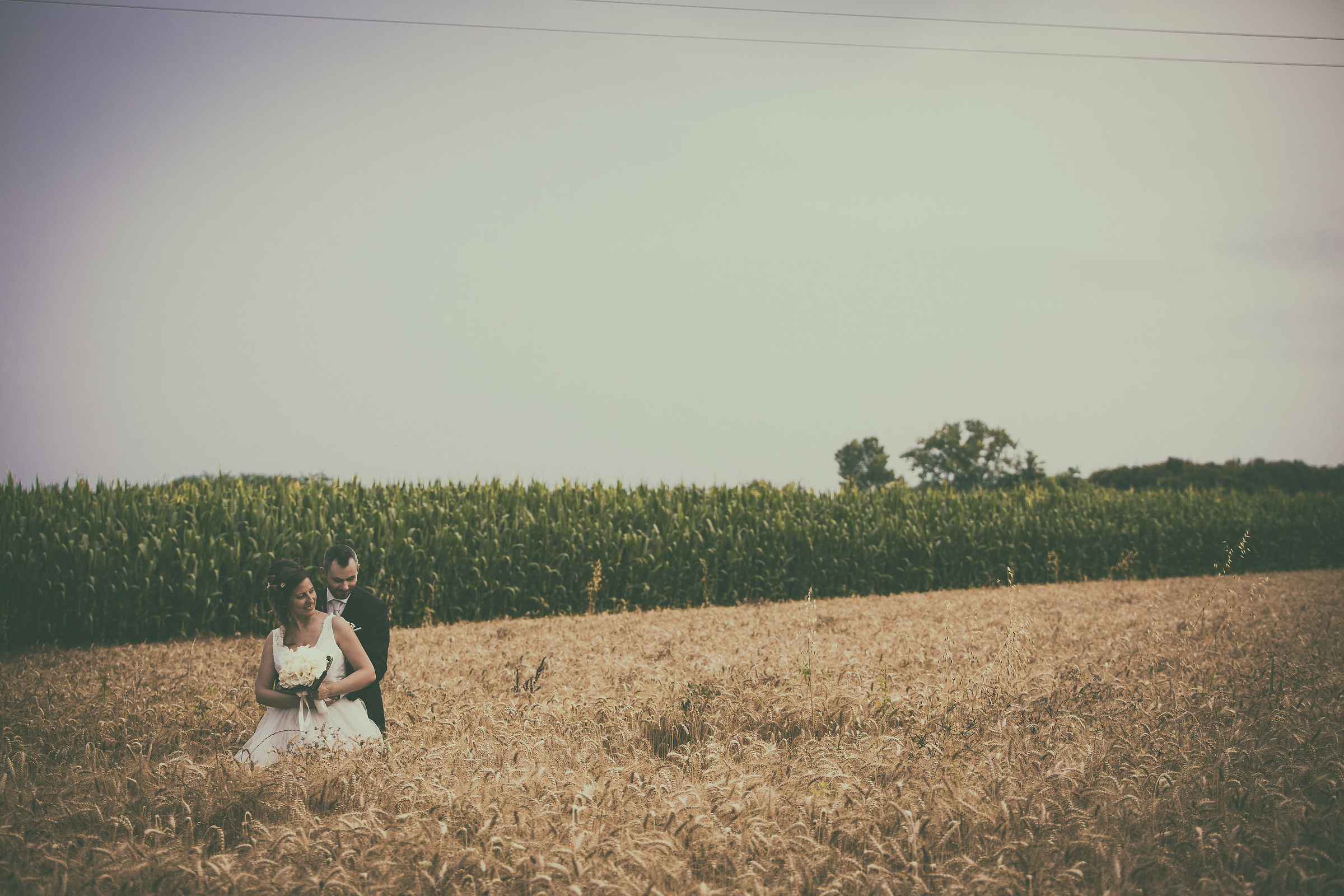 Fields