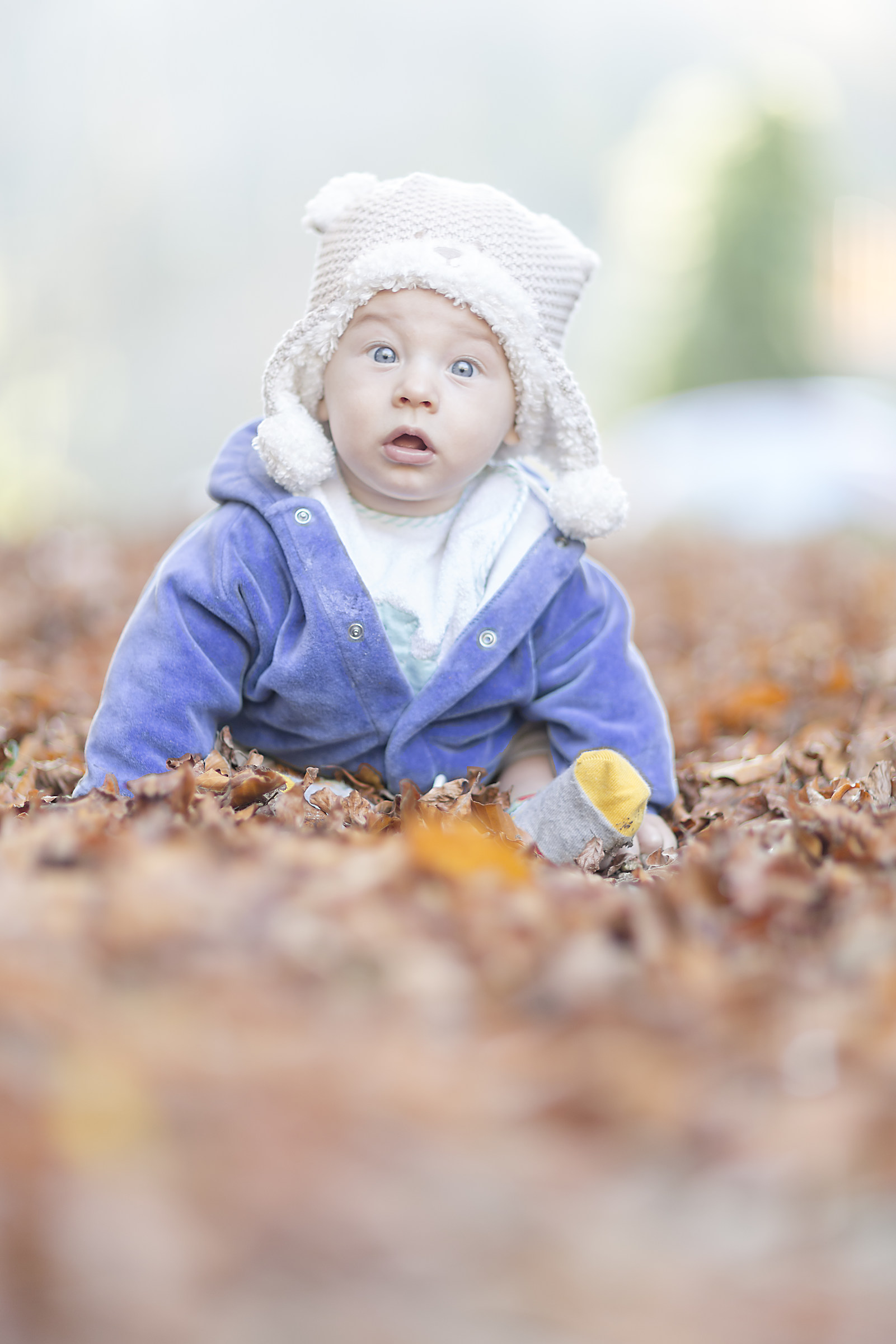 il primo autunno....