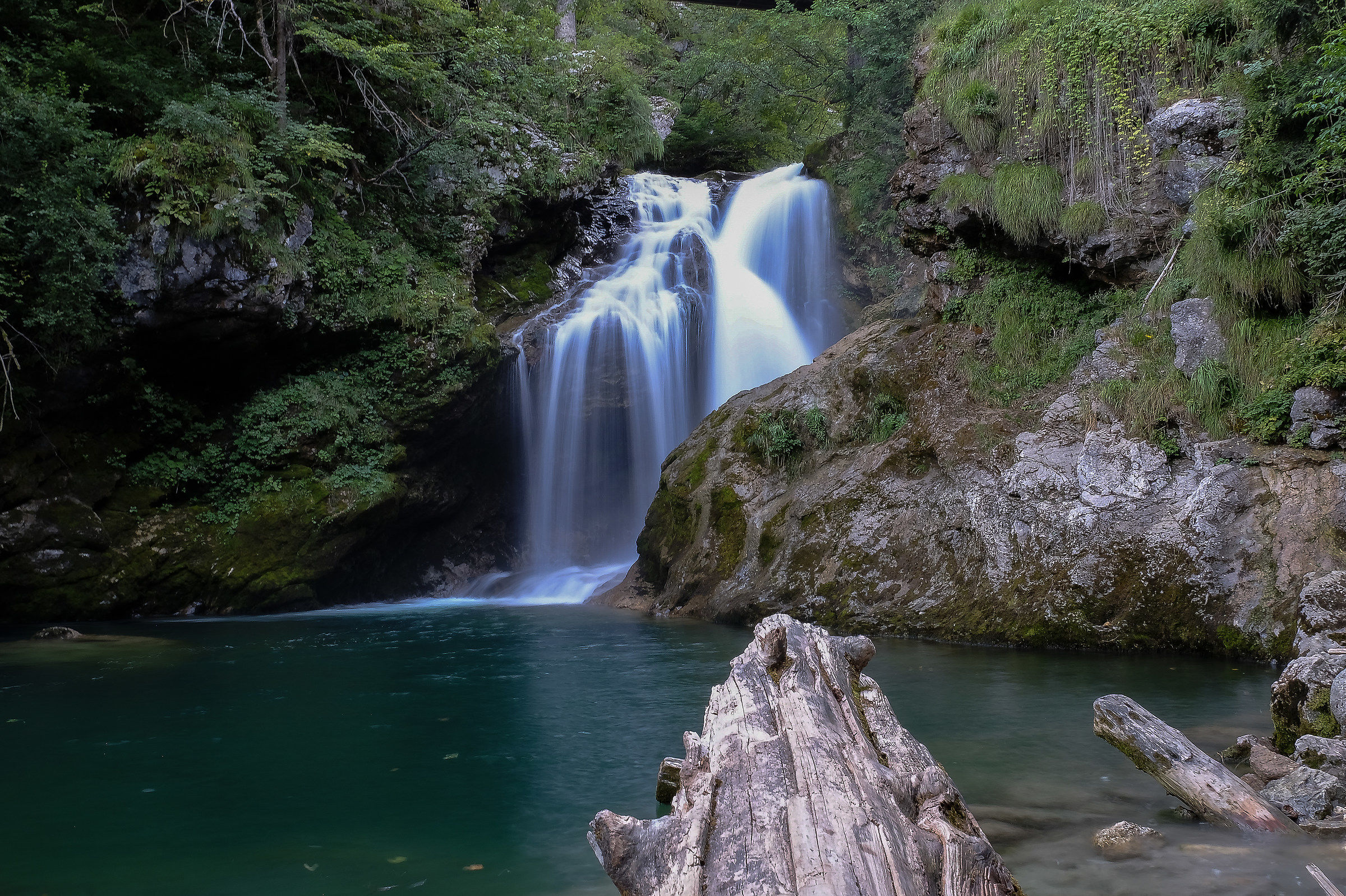 Cascata e tronco d'albero