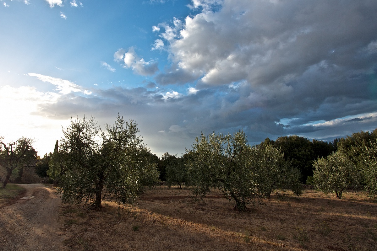 ..dopo un temporale..
