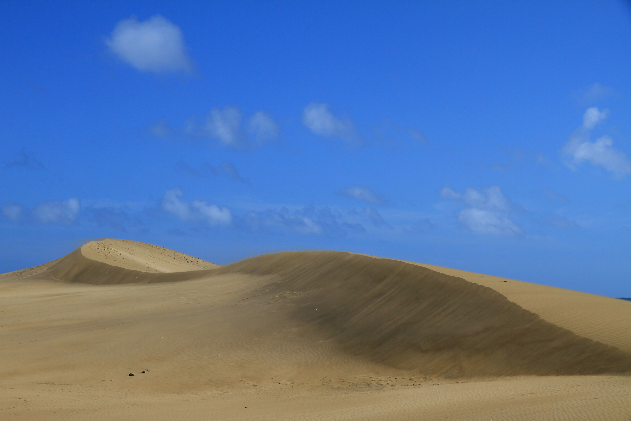 dunes