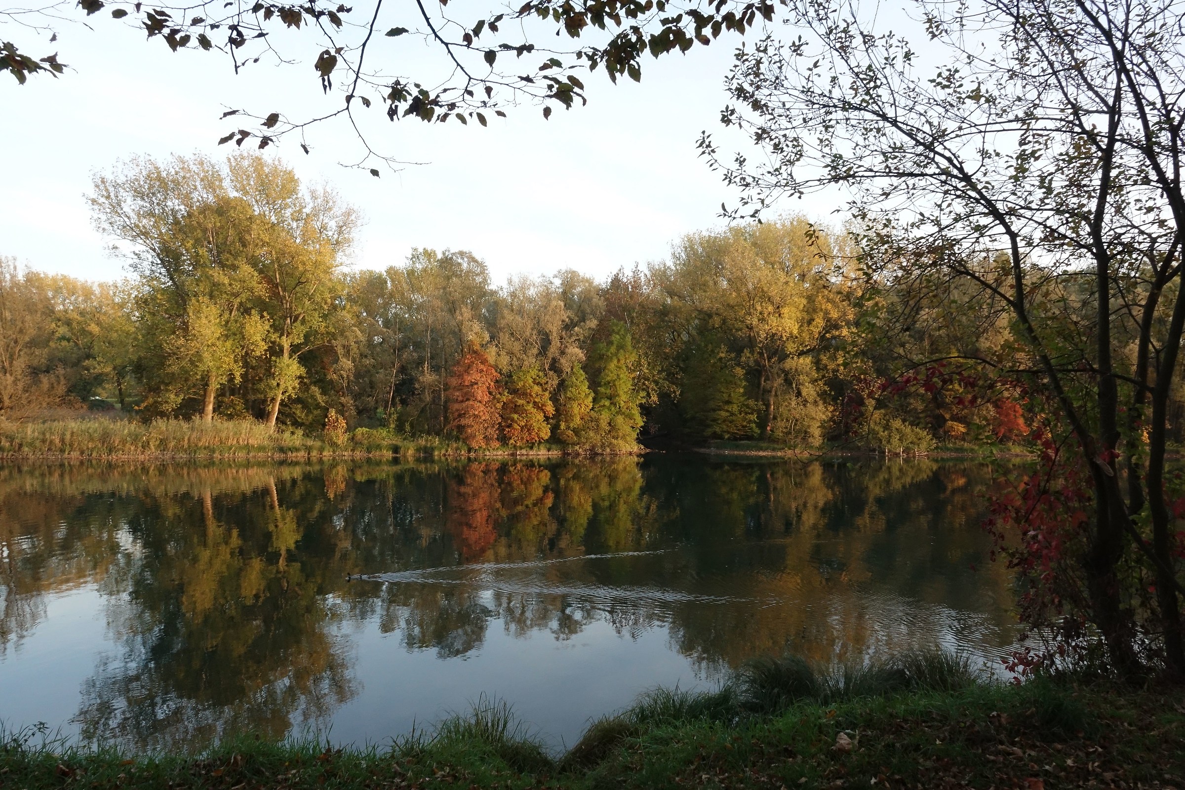 autumn reflections in the Adda