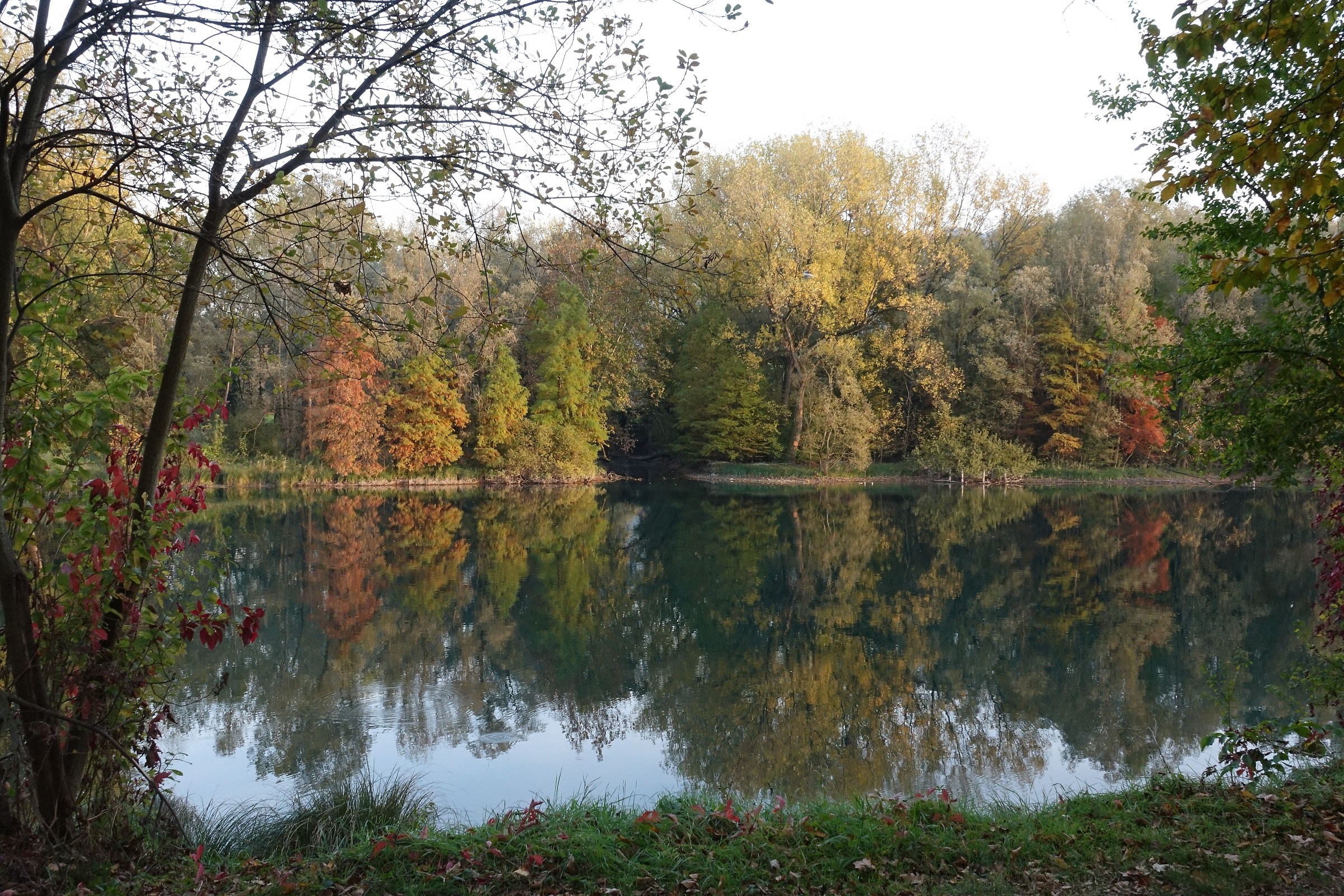 autumn reflections in Adda 2