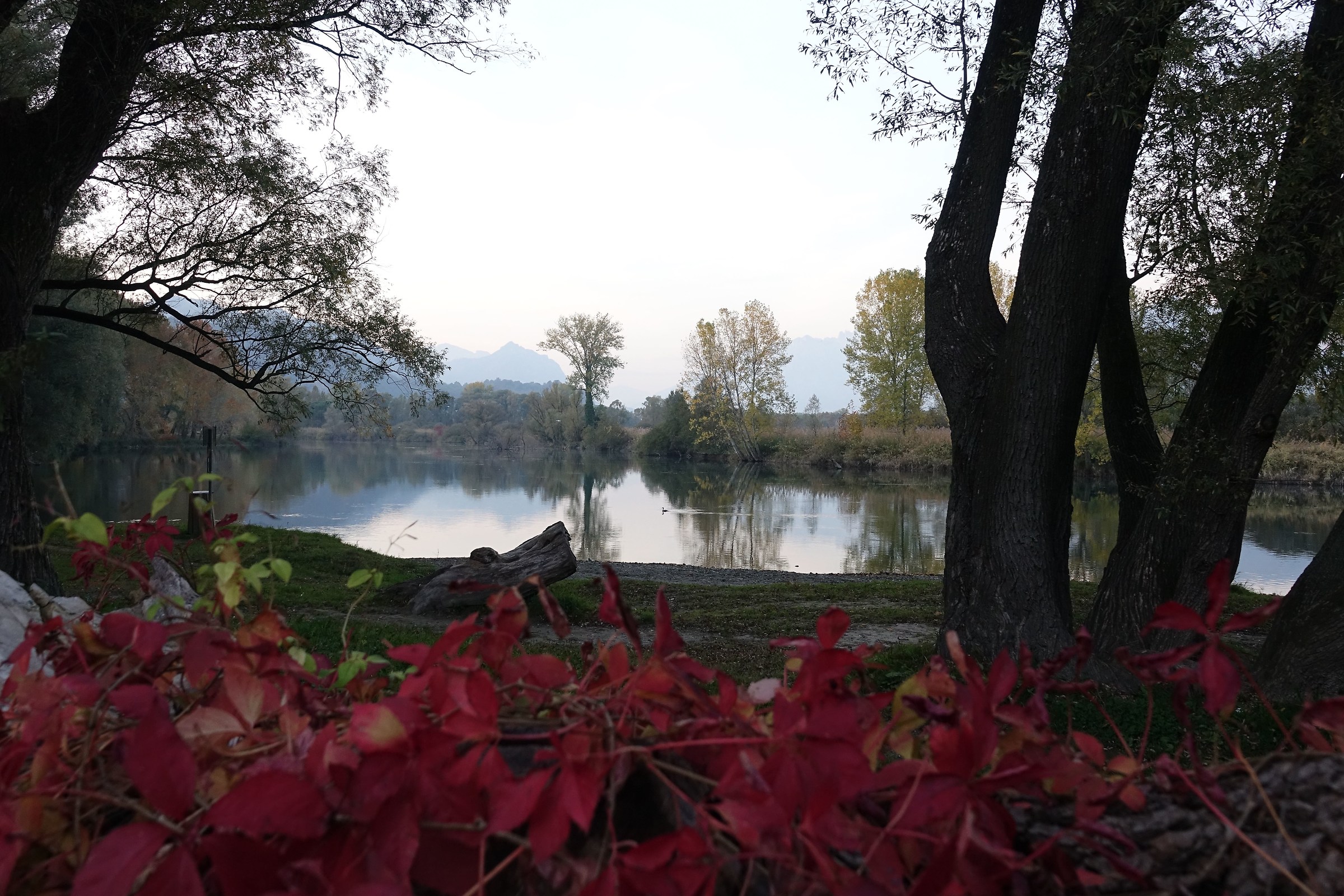 Autumn dusk along the Adda