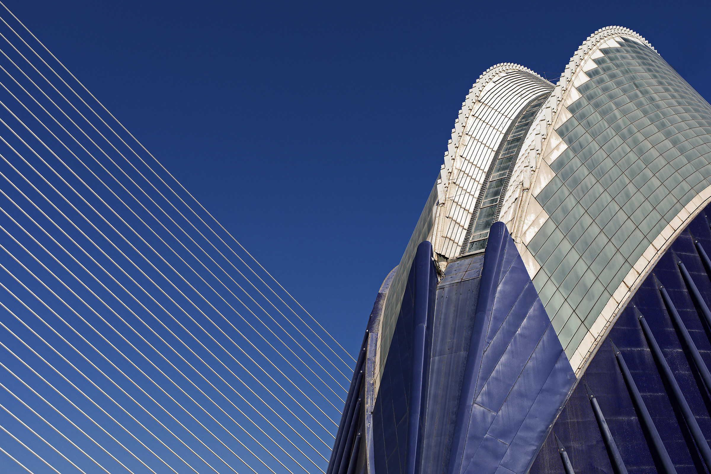 Calatrava  forever 2