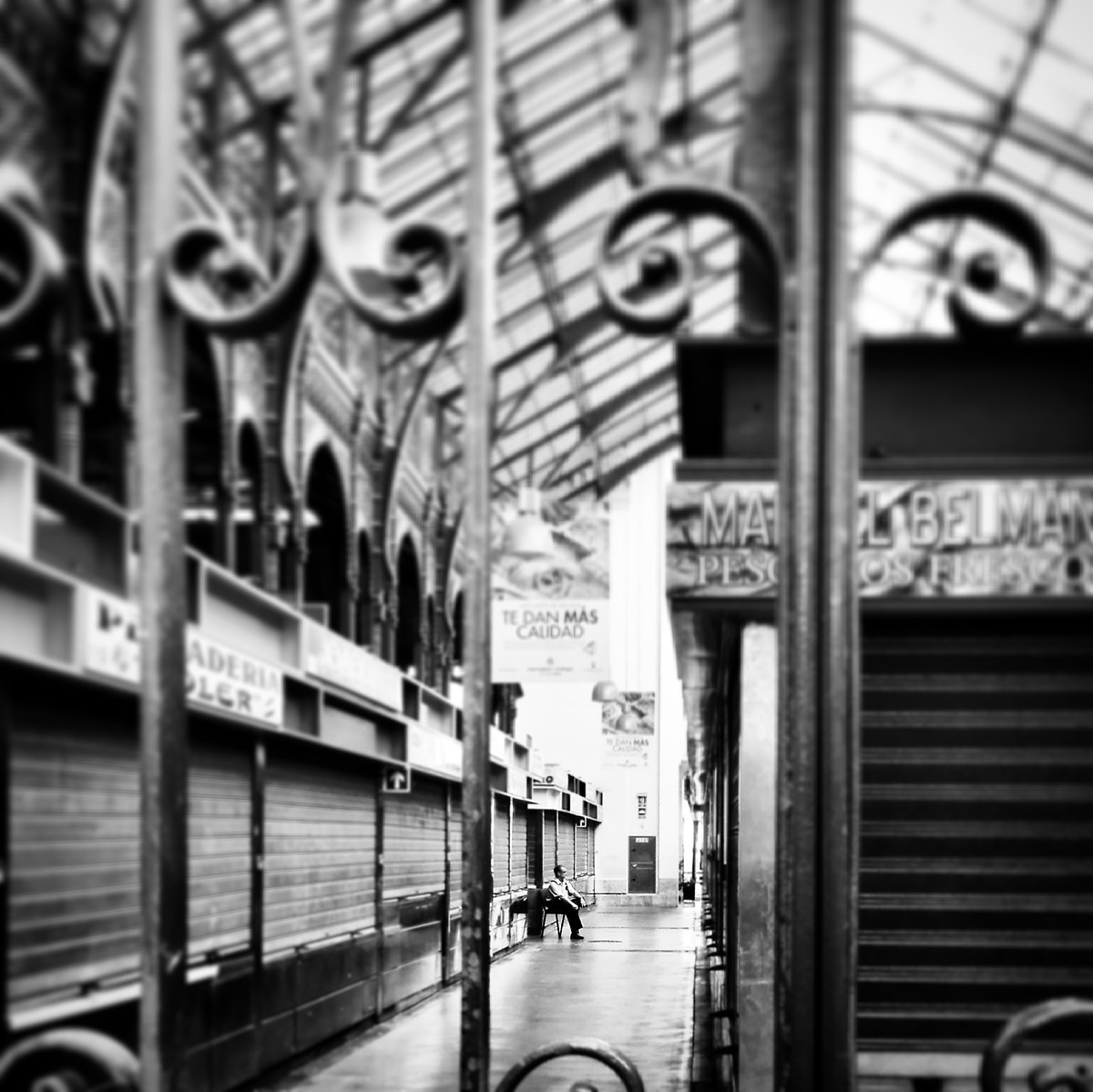 "La dolce attesa"_Mercado Central de Atarazanas