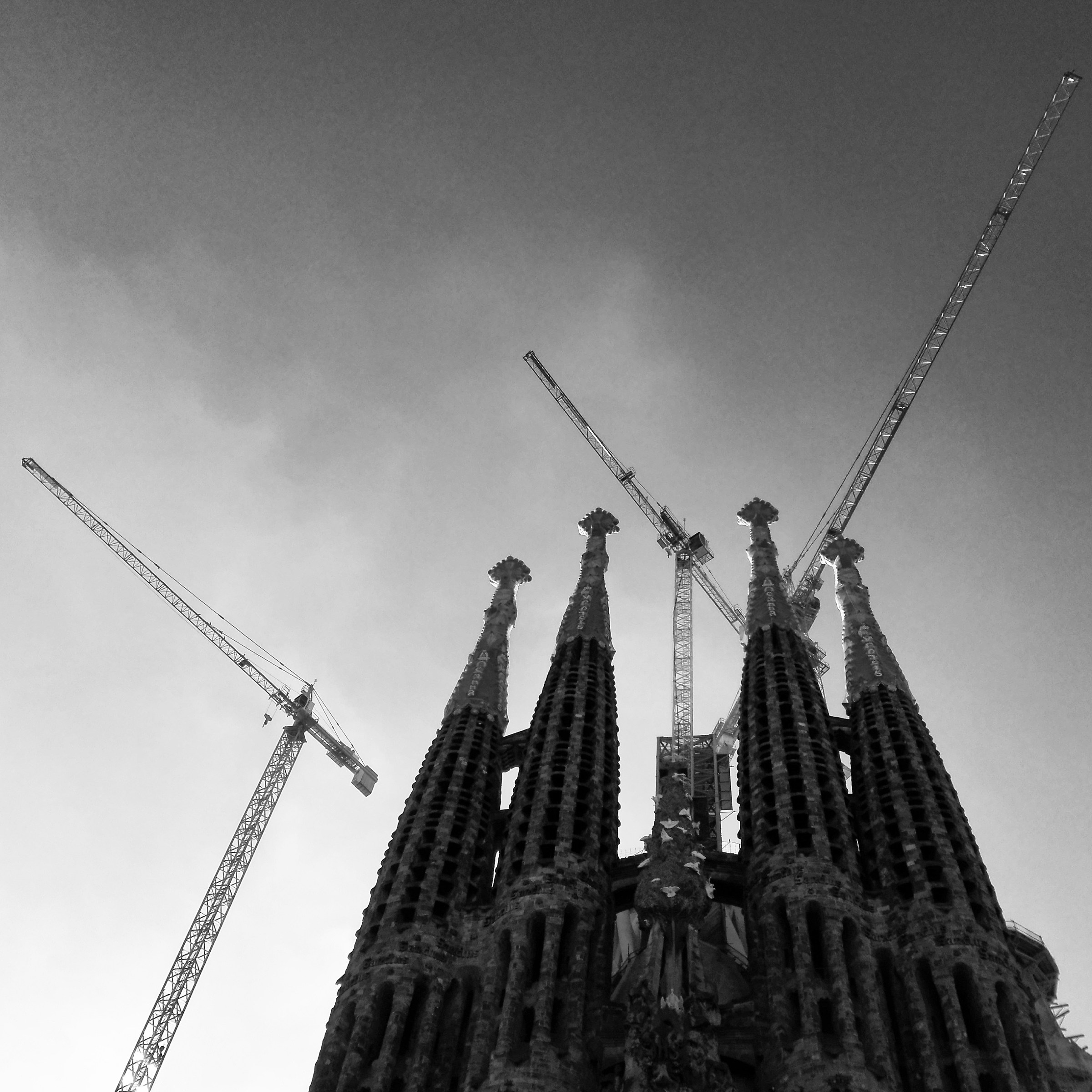 "Sacre gru"_Sagrada Familia, Barcellona