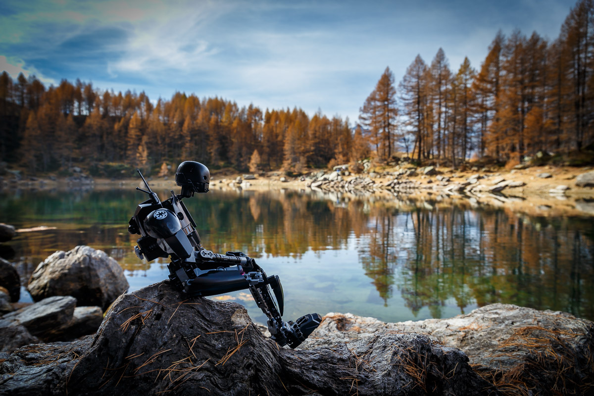 la solitudine del robot