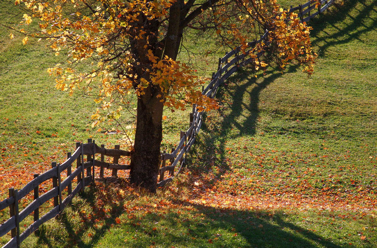 Renon ... walking in a dream!