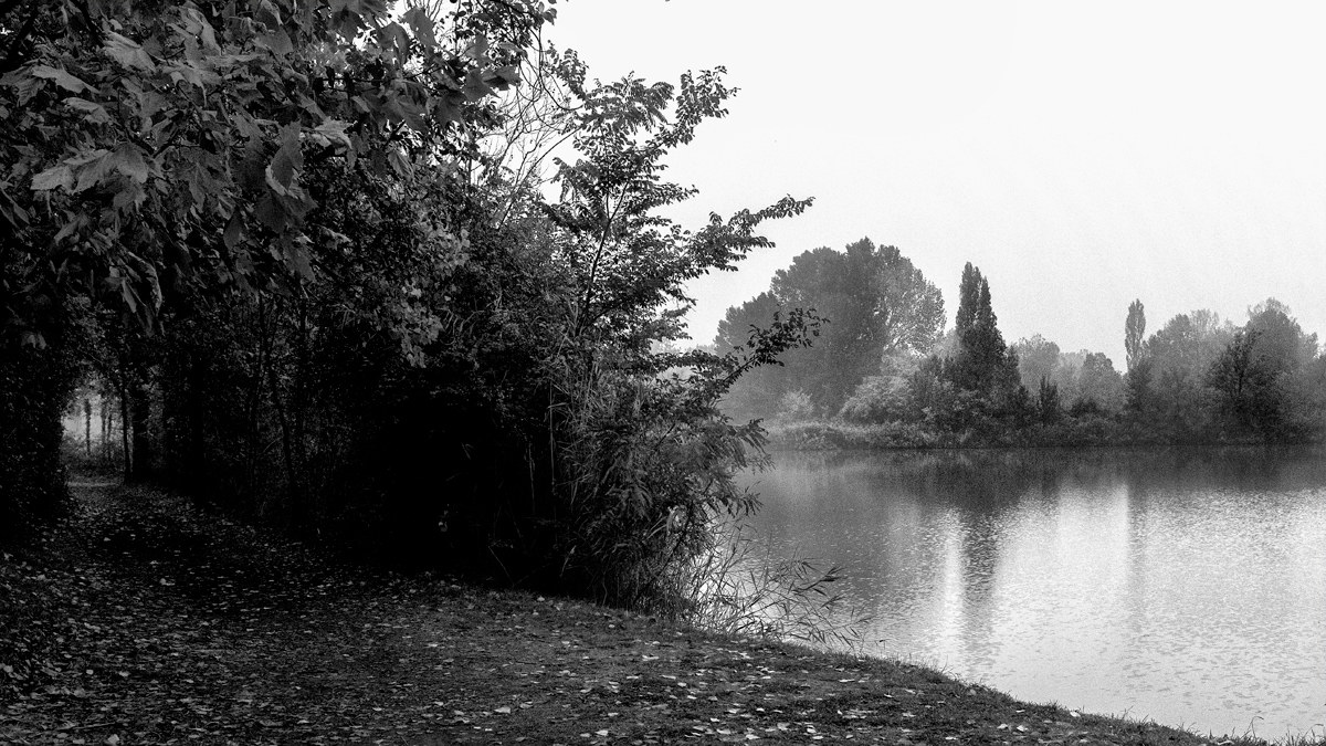 Vie di terra e di acqua