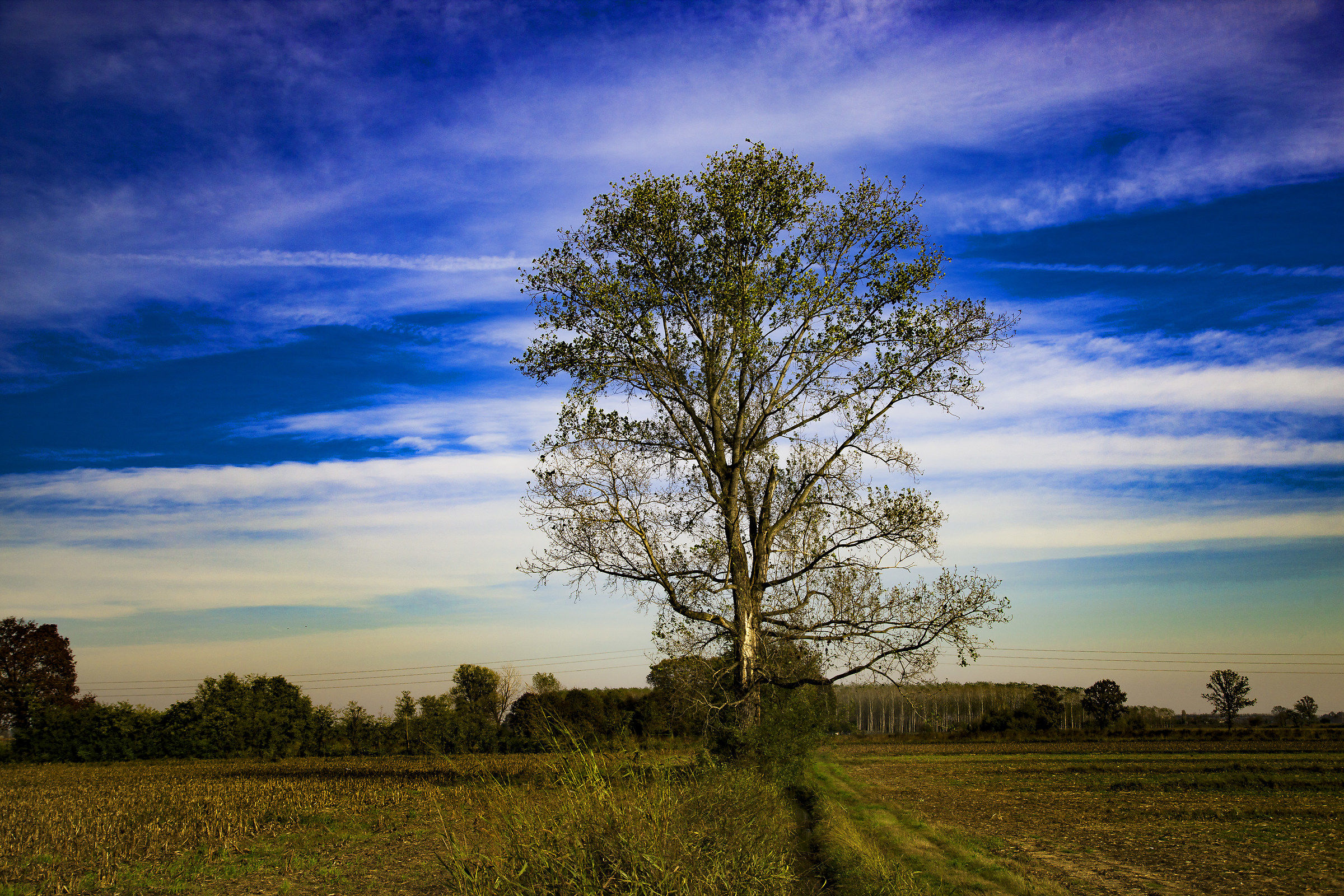 I break, but I resist