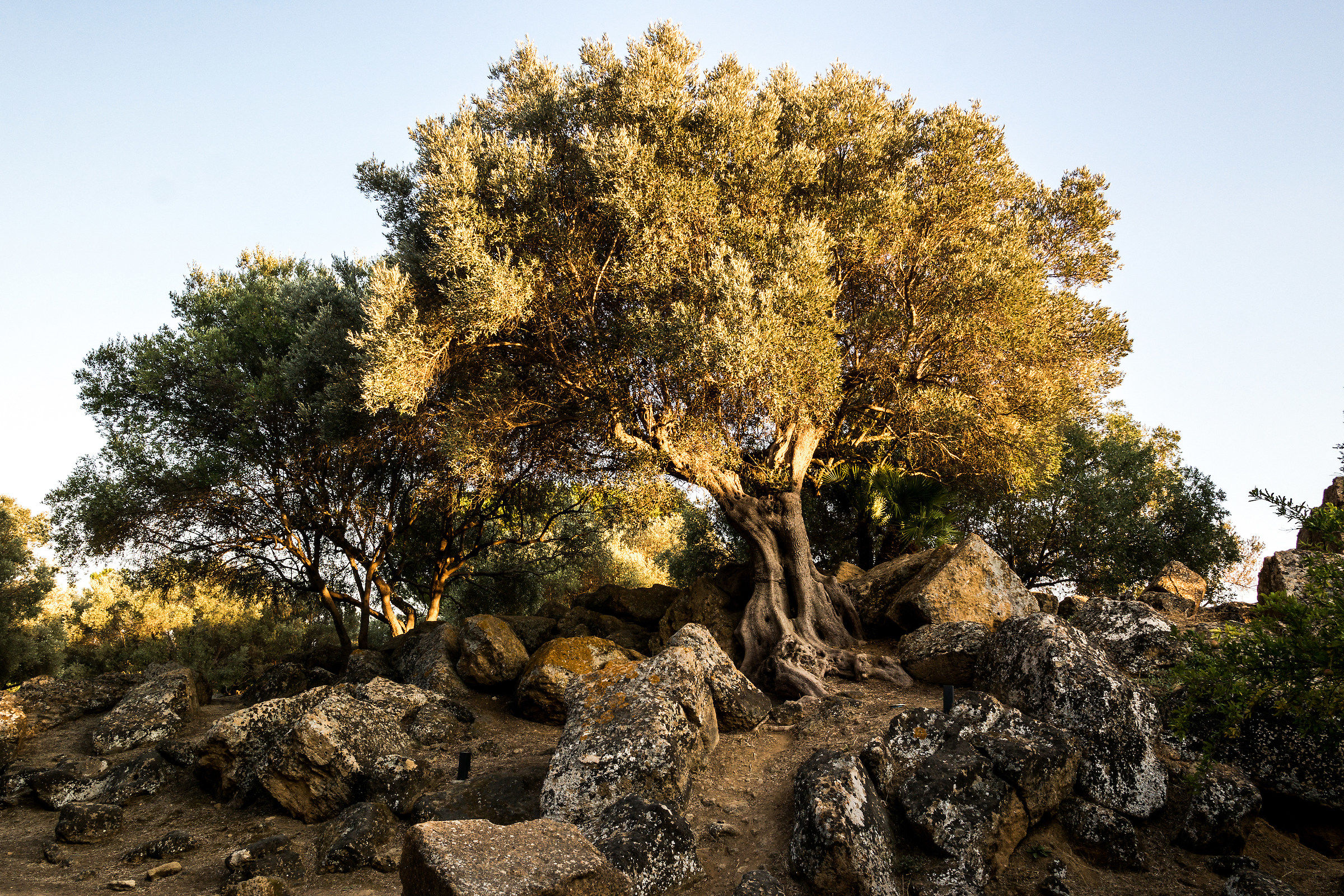 Valley of the Temples 1