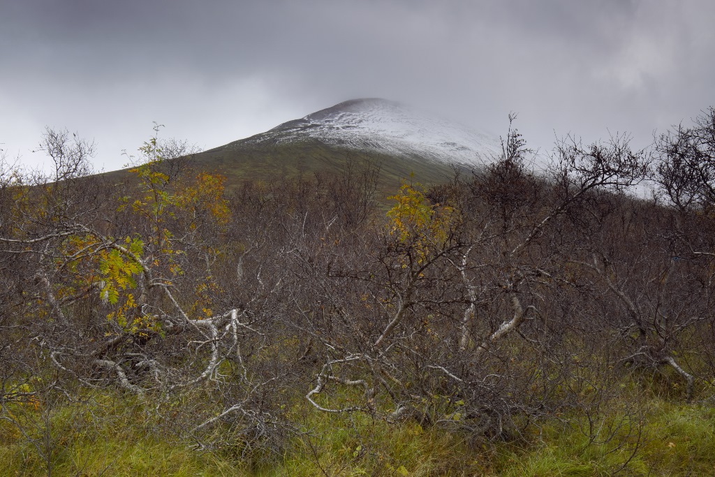 .... anche questa è Islanda