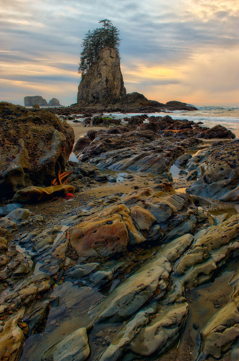 Second Beach, WA - 3 Raw