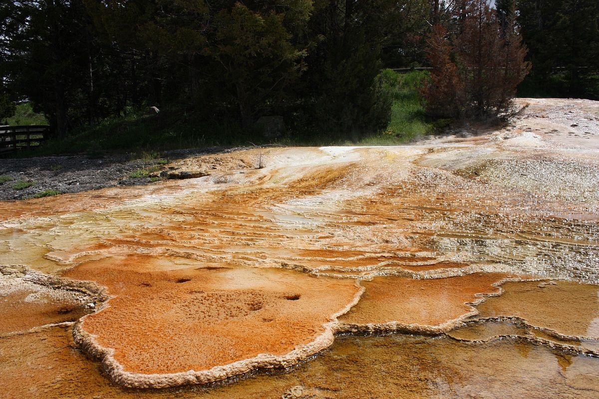 Yellowstone National Prk