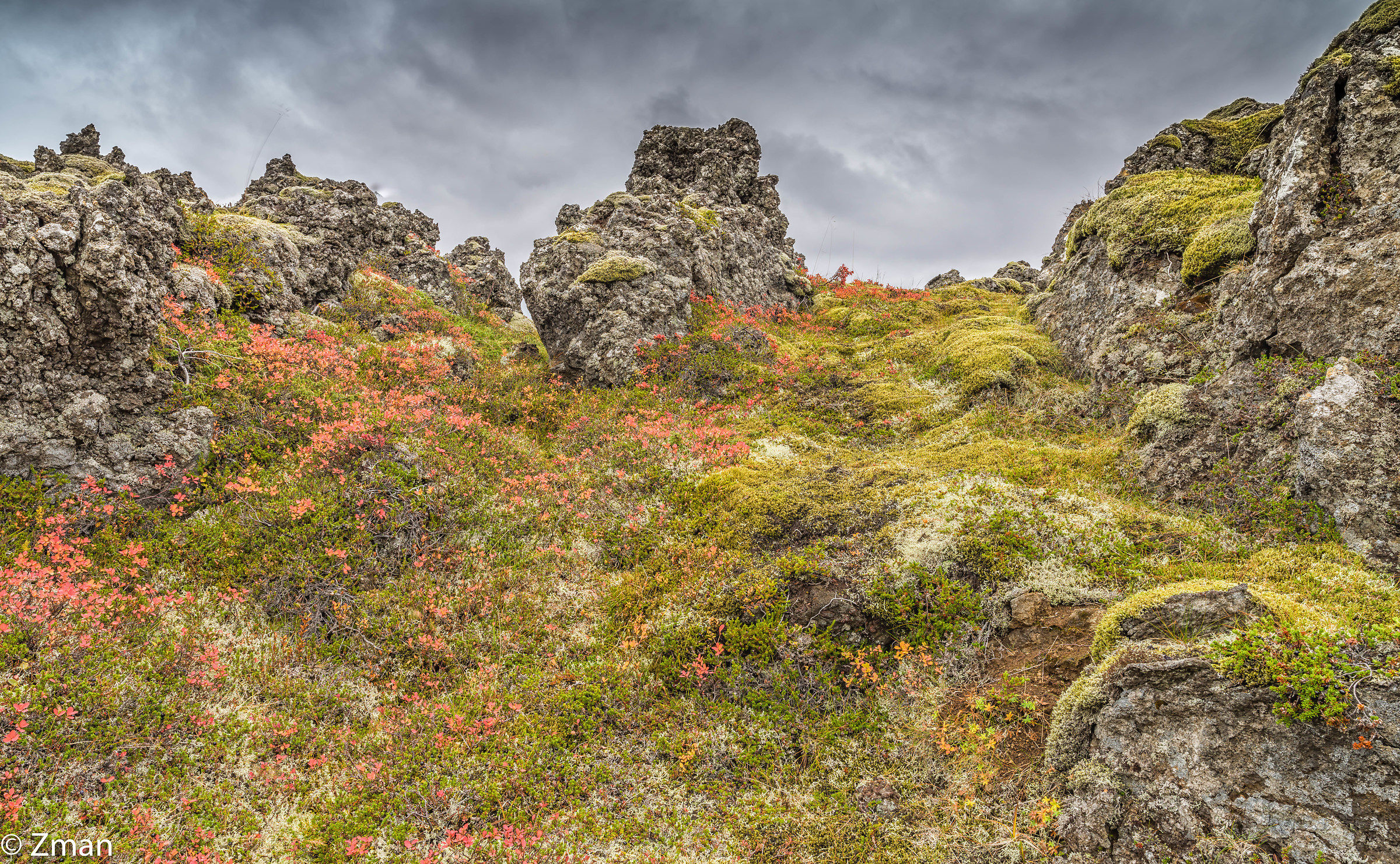 Lava fields