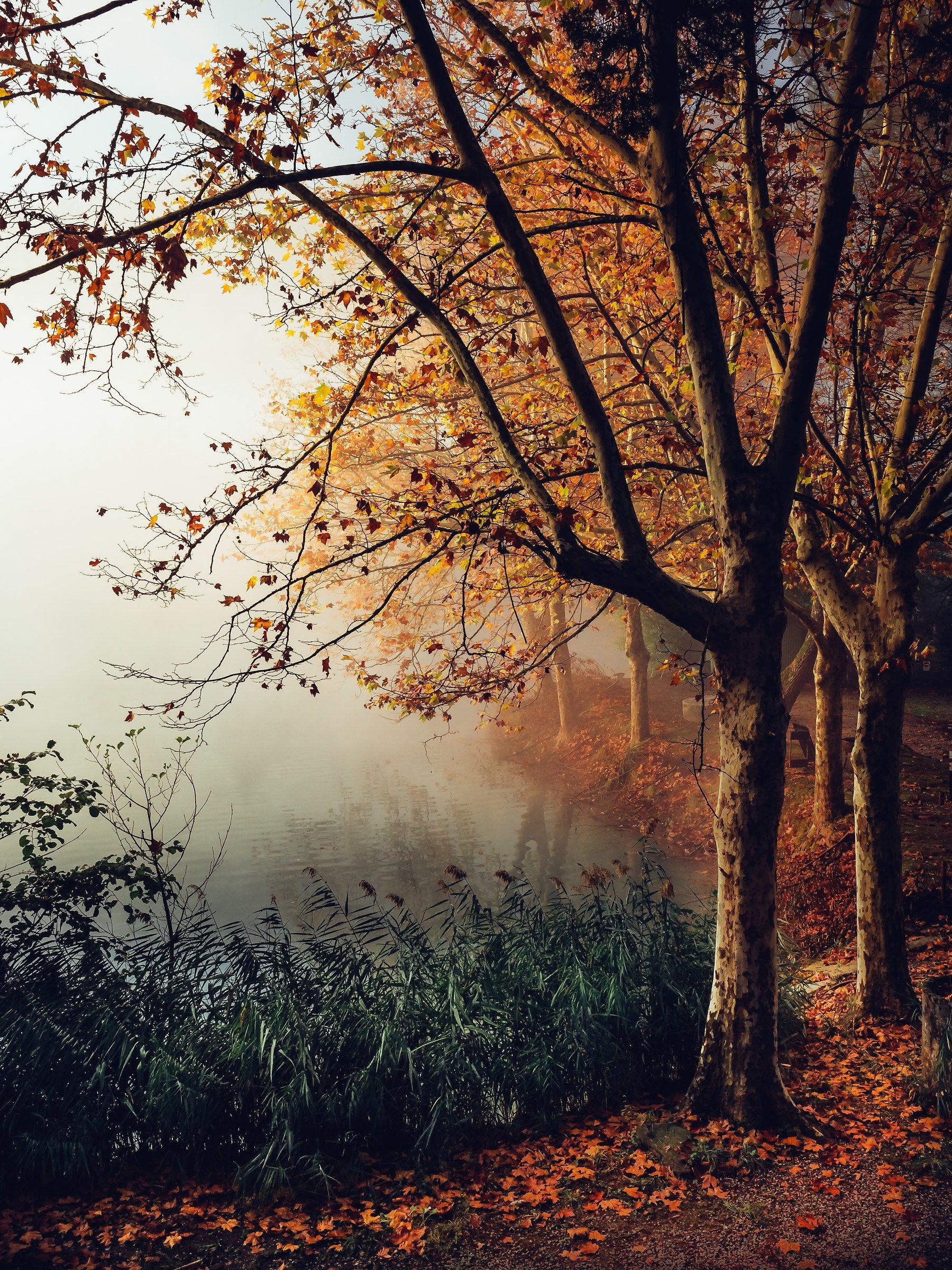 Le mattine d'autunno si vestono di nuovi colori