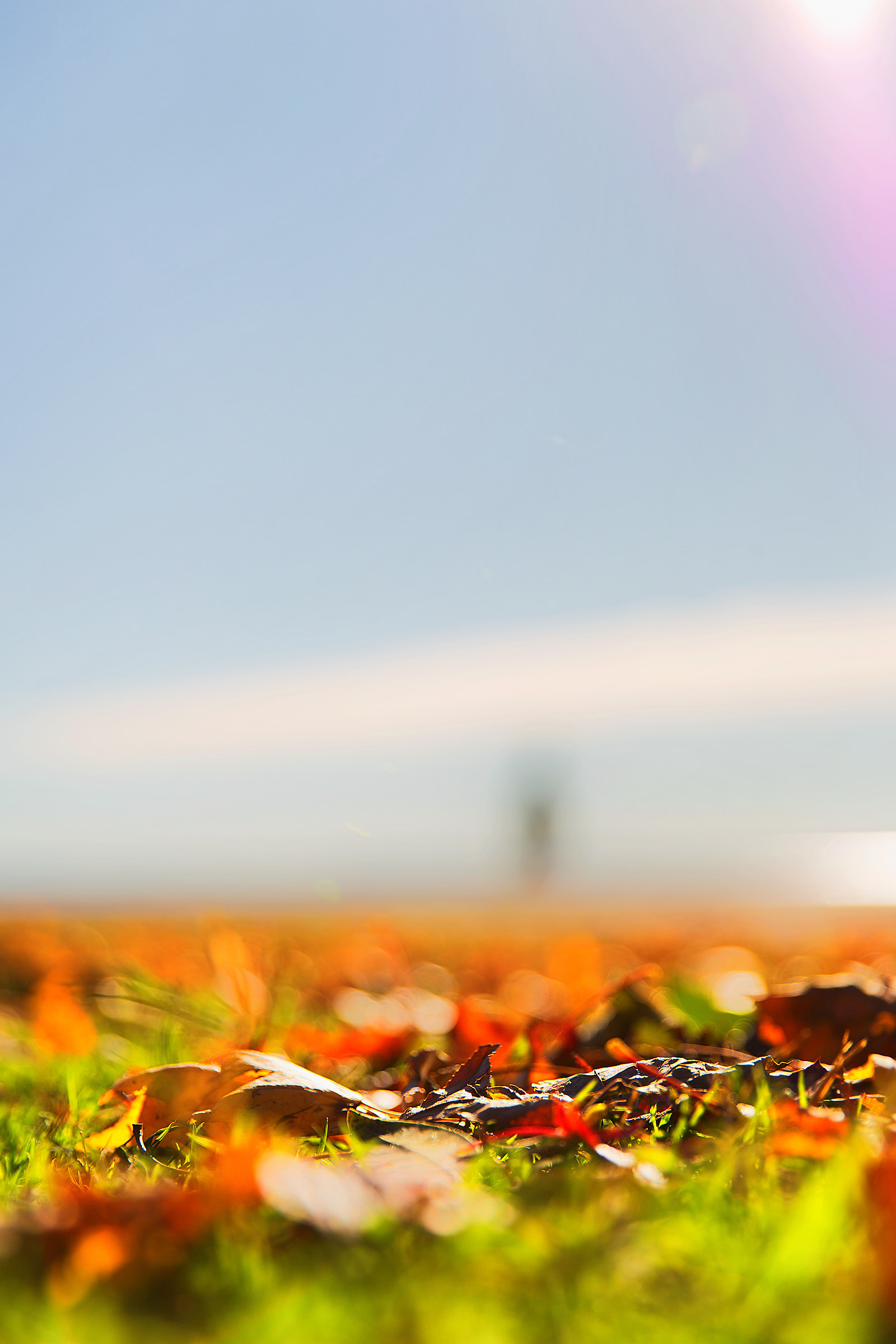 Autunno sul Lago di Garda