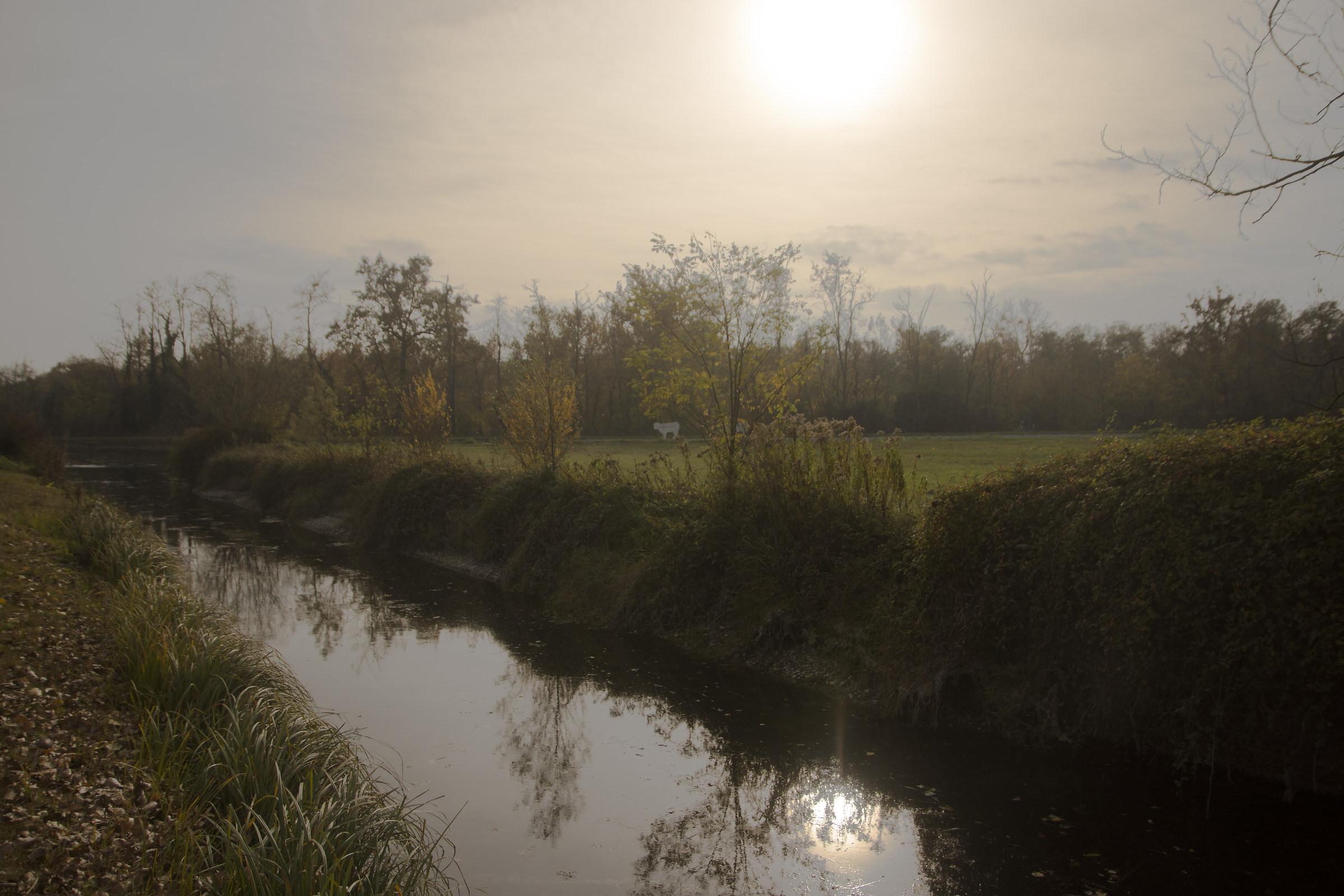 the placid Ticino Autumn