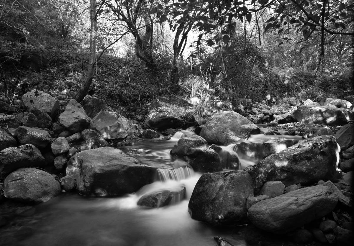 clear water Nikon d750 f.22 sec.8 foc. 35 iso 200