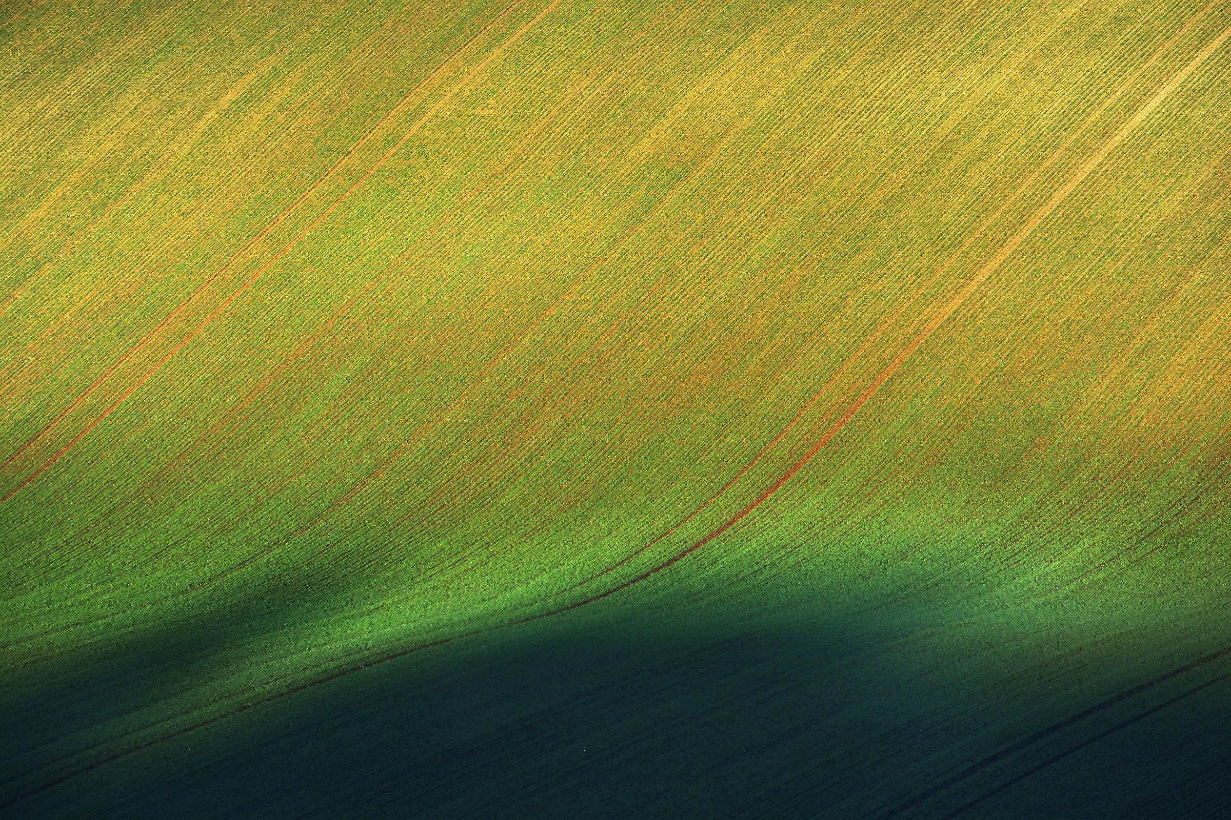 Tessuto nei campi - 2