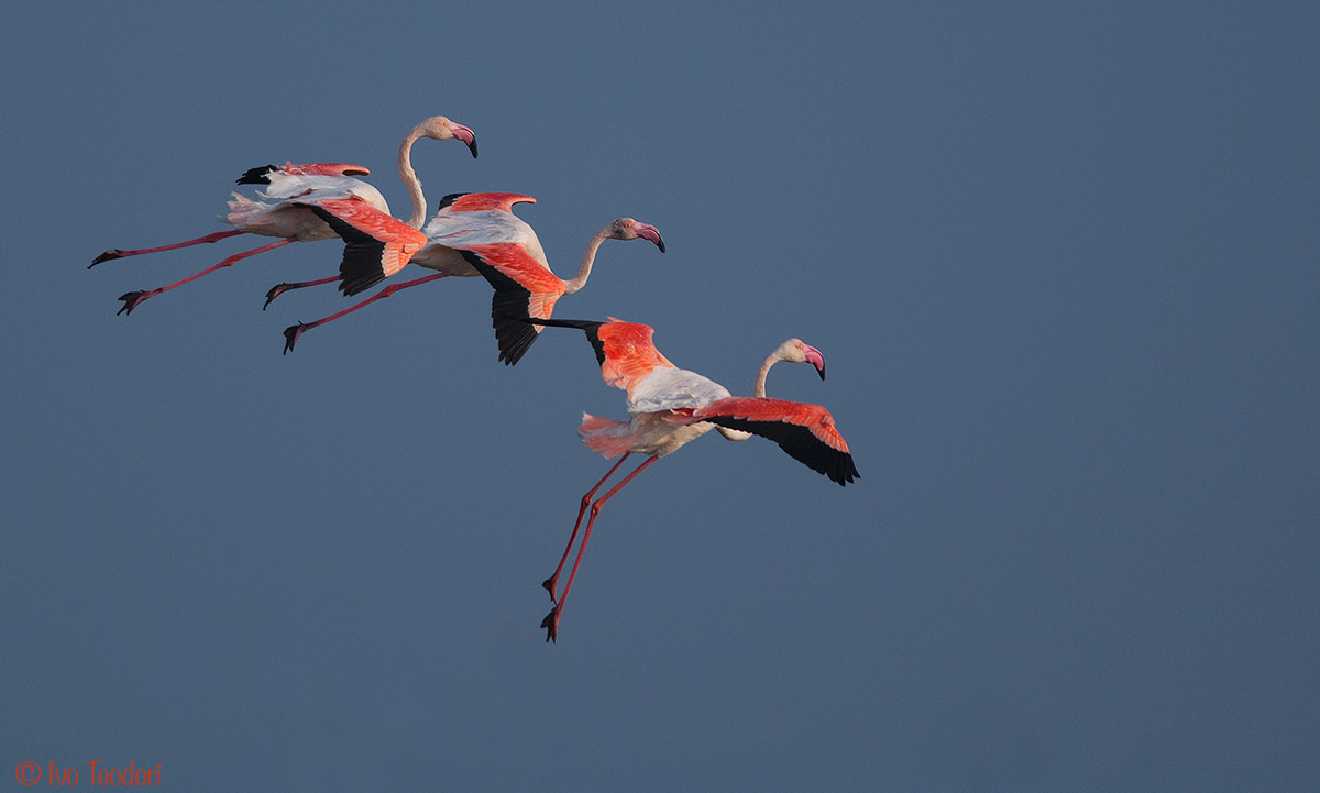 Raining from the sky.