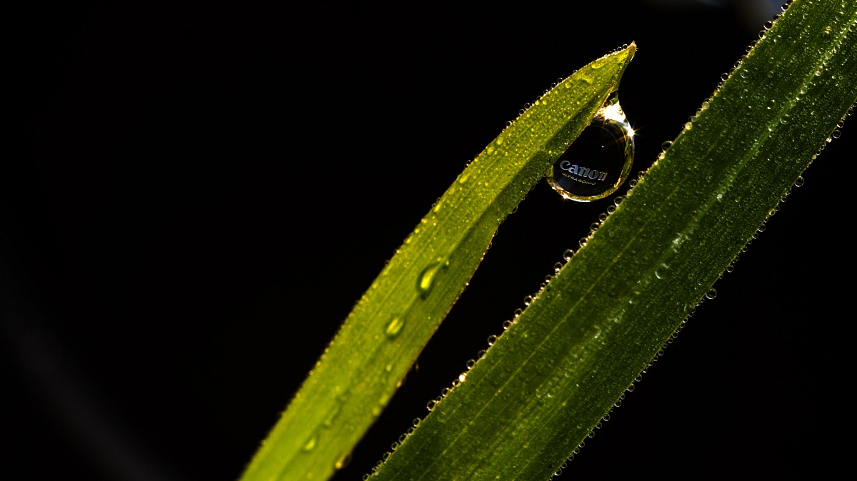 micro omaggio  a mamma Canon