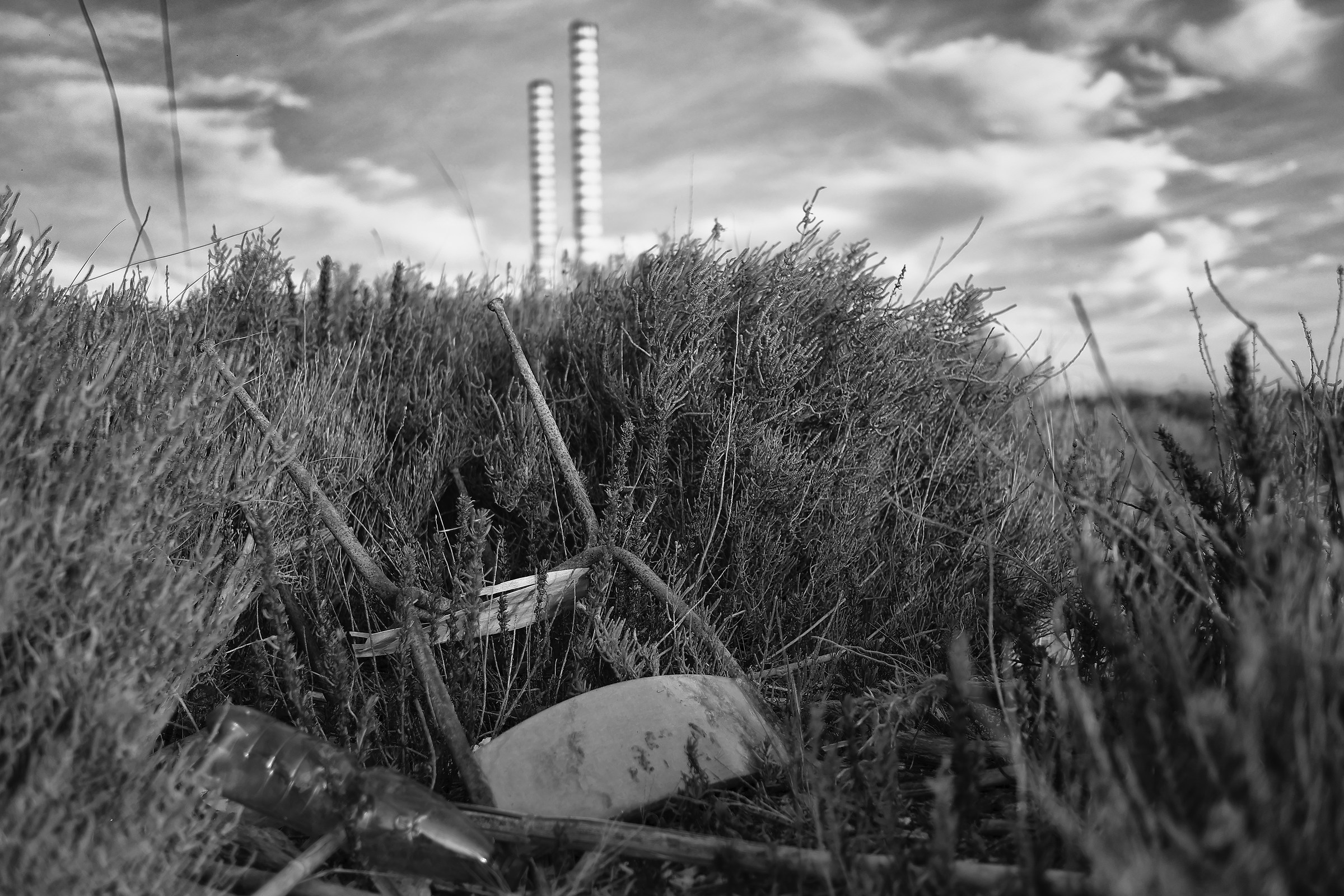 Man and the Environment