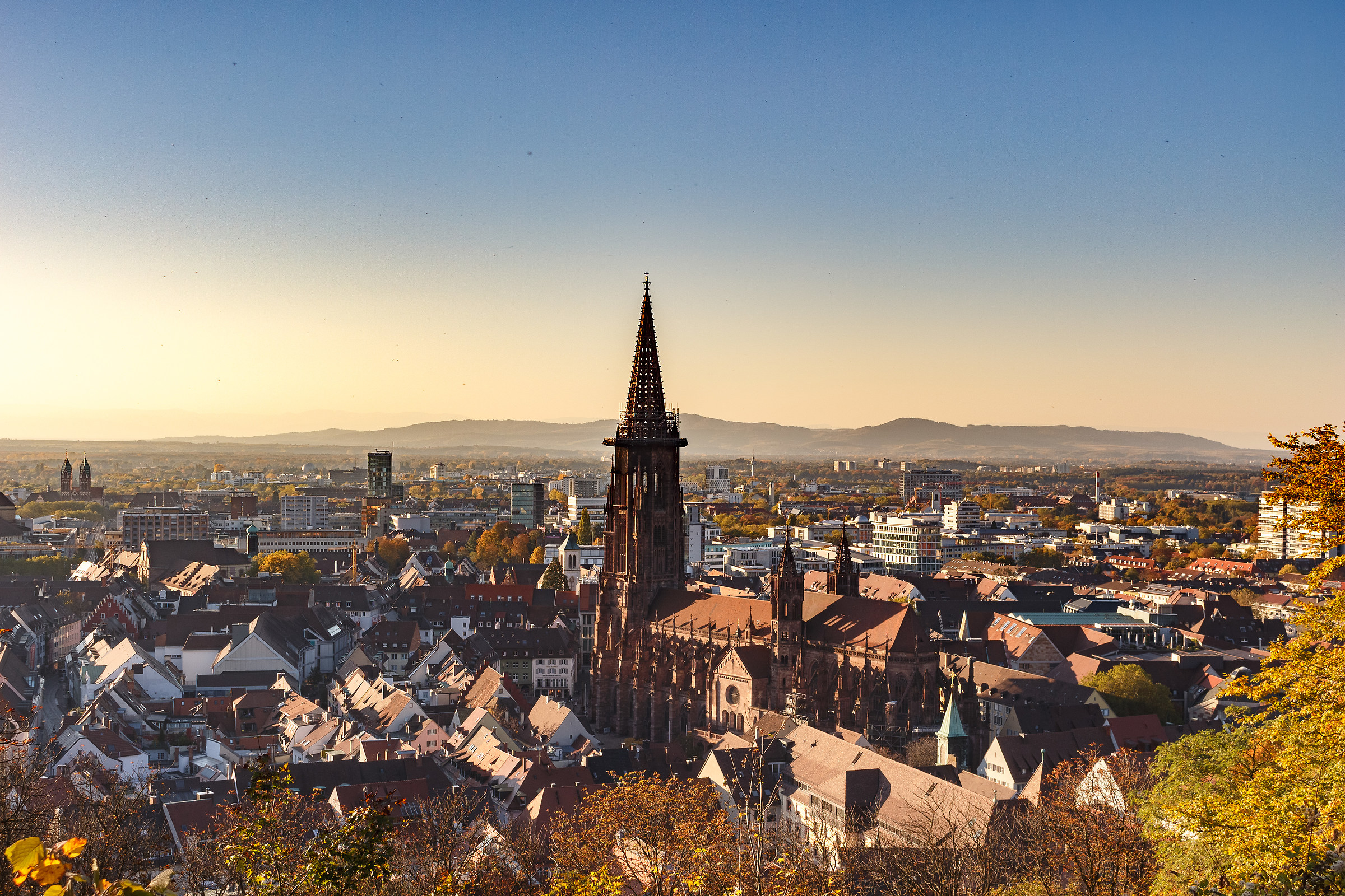 Friburgo in Brisgovia