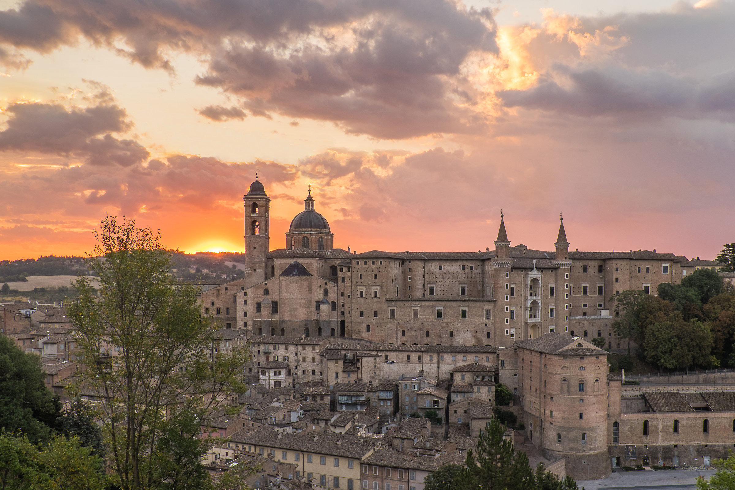 Good morning Urbino