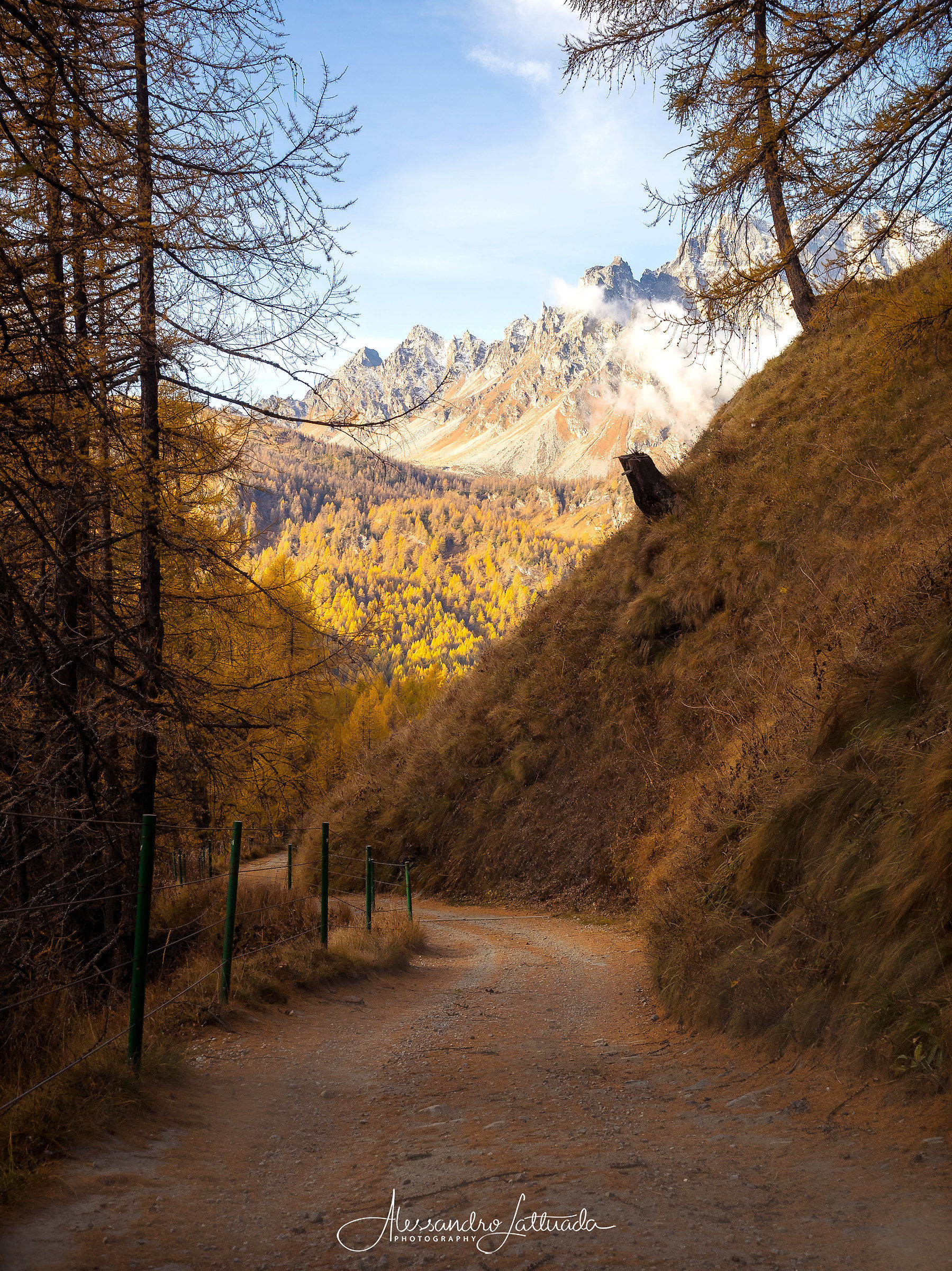 Di ritorno dall'Alpe