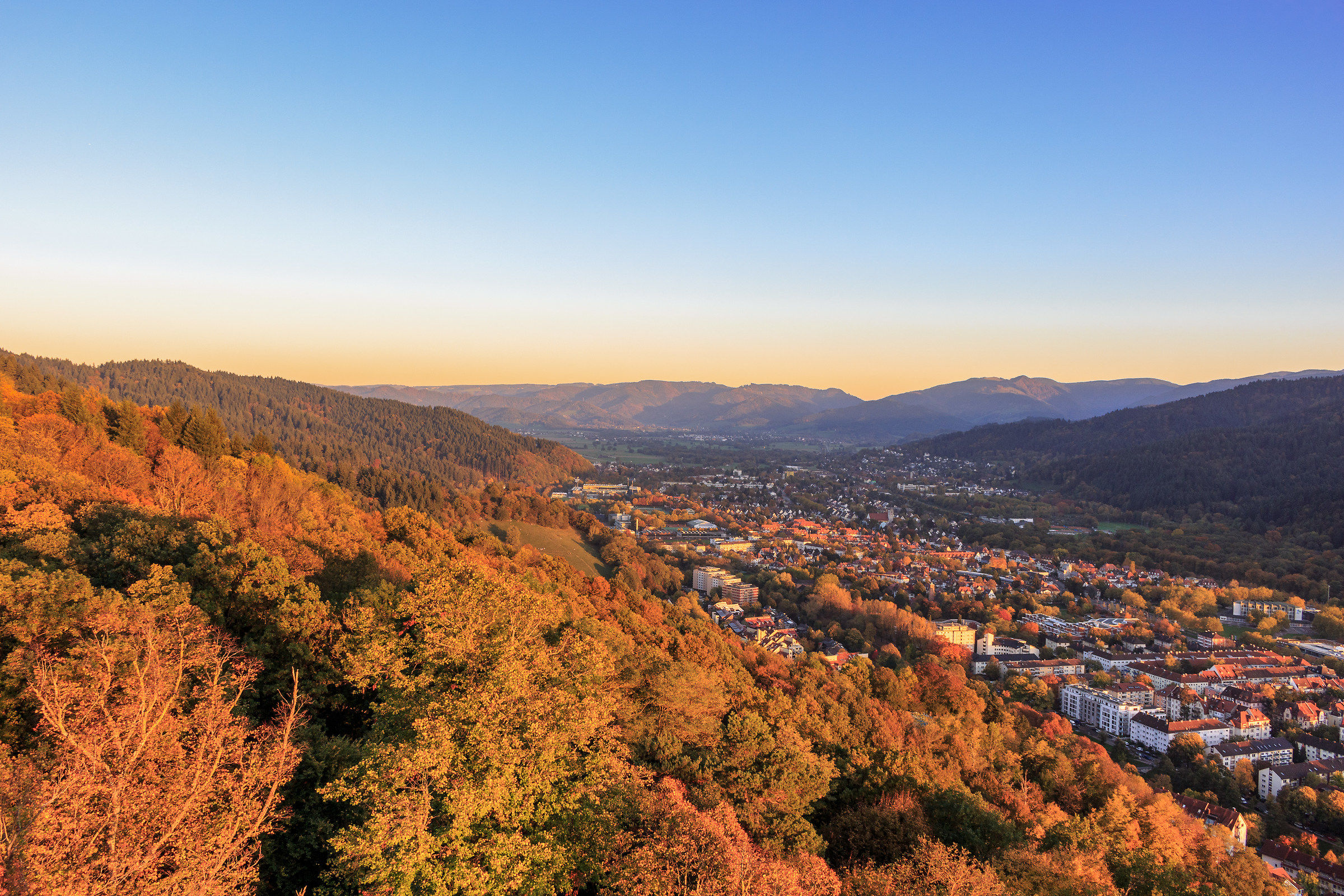 Friburgo in Brisgovia