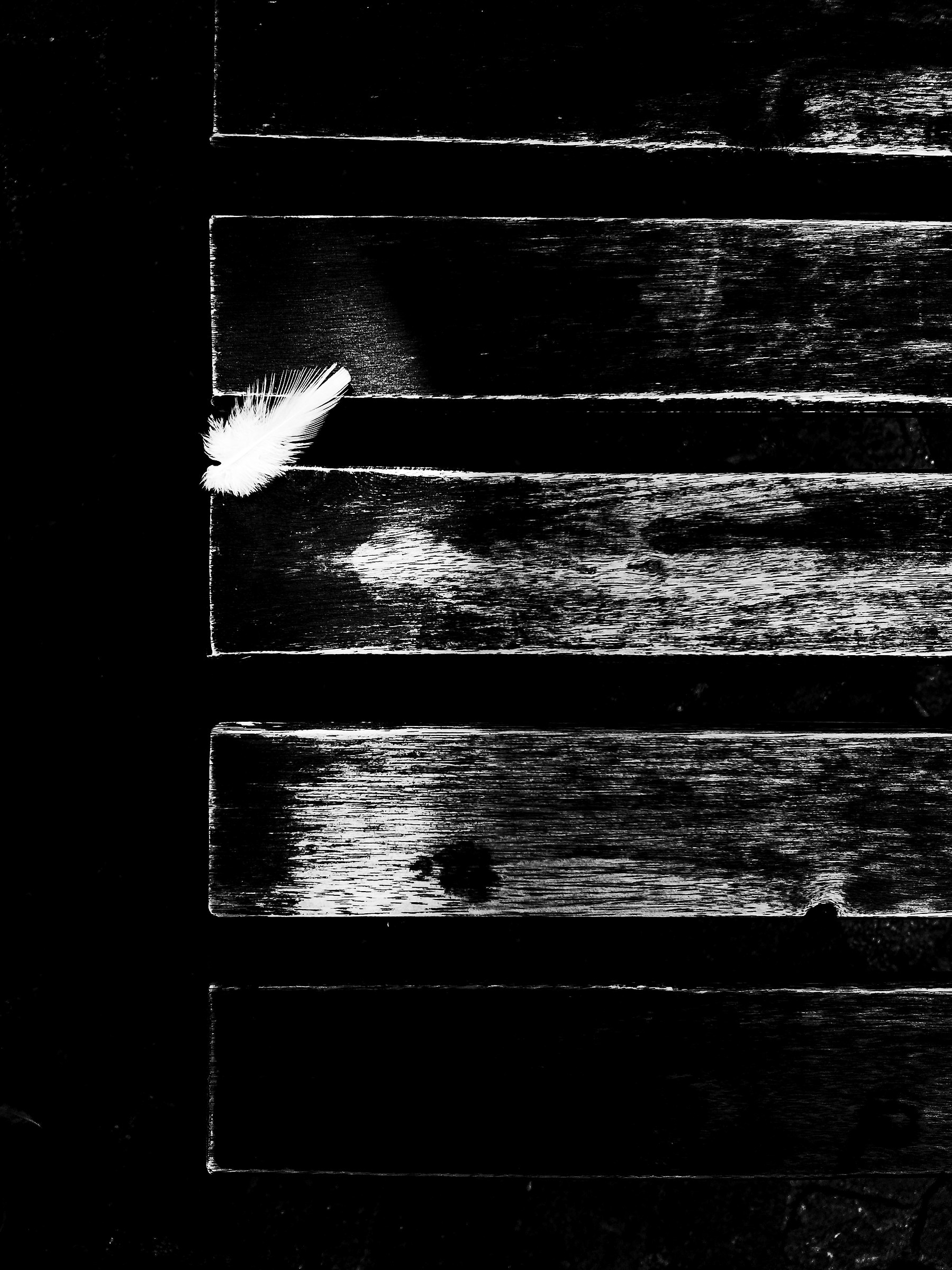 Insostenibile leggerezza...