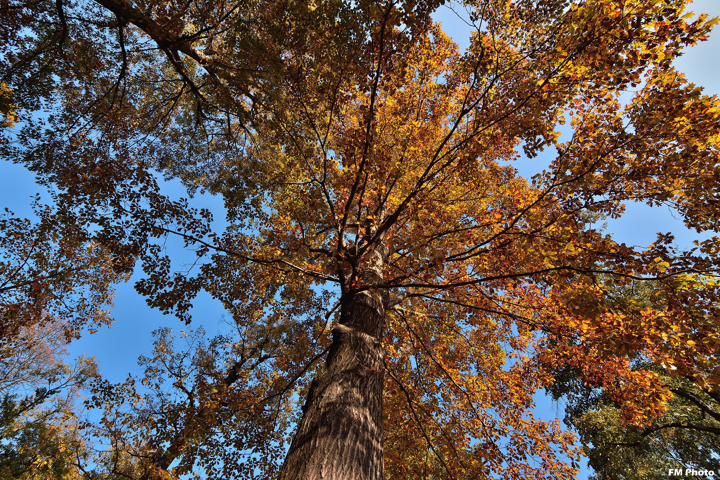 Con il naso all'insù